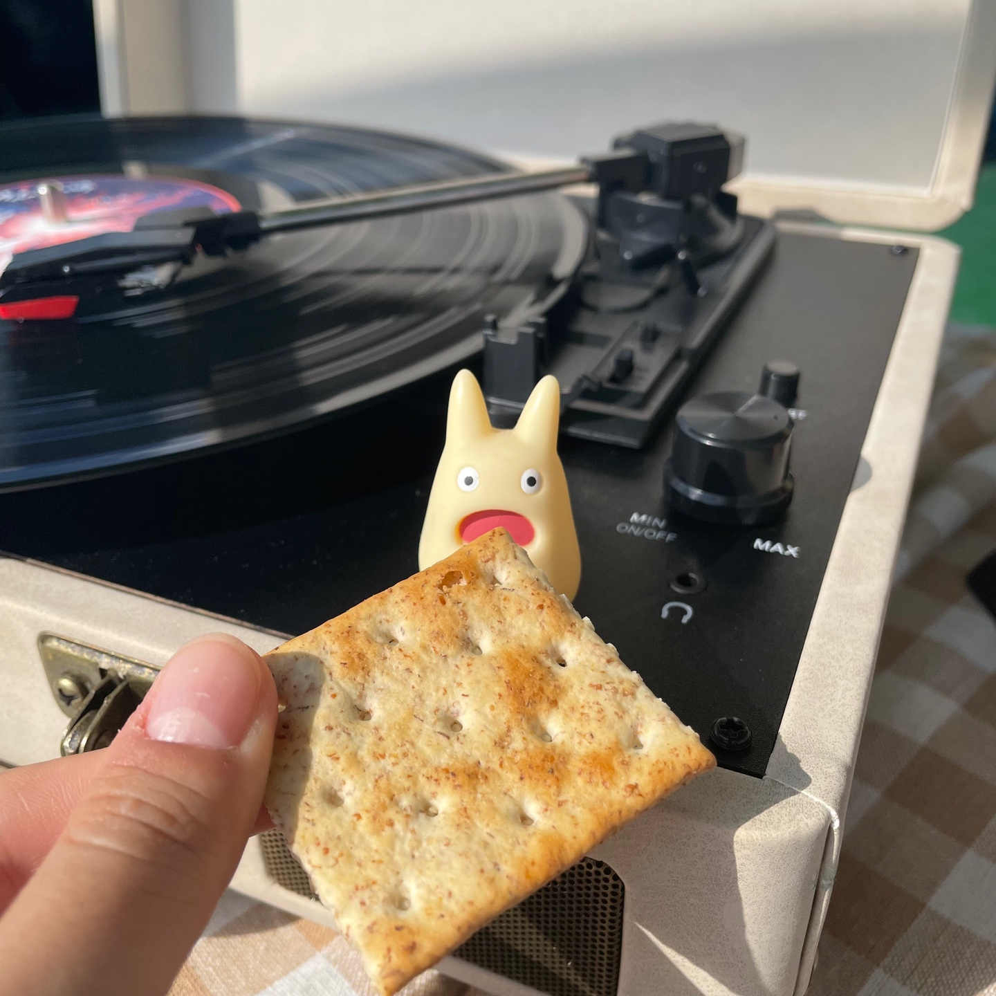 🍪🍪