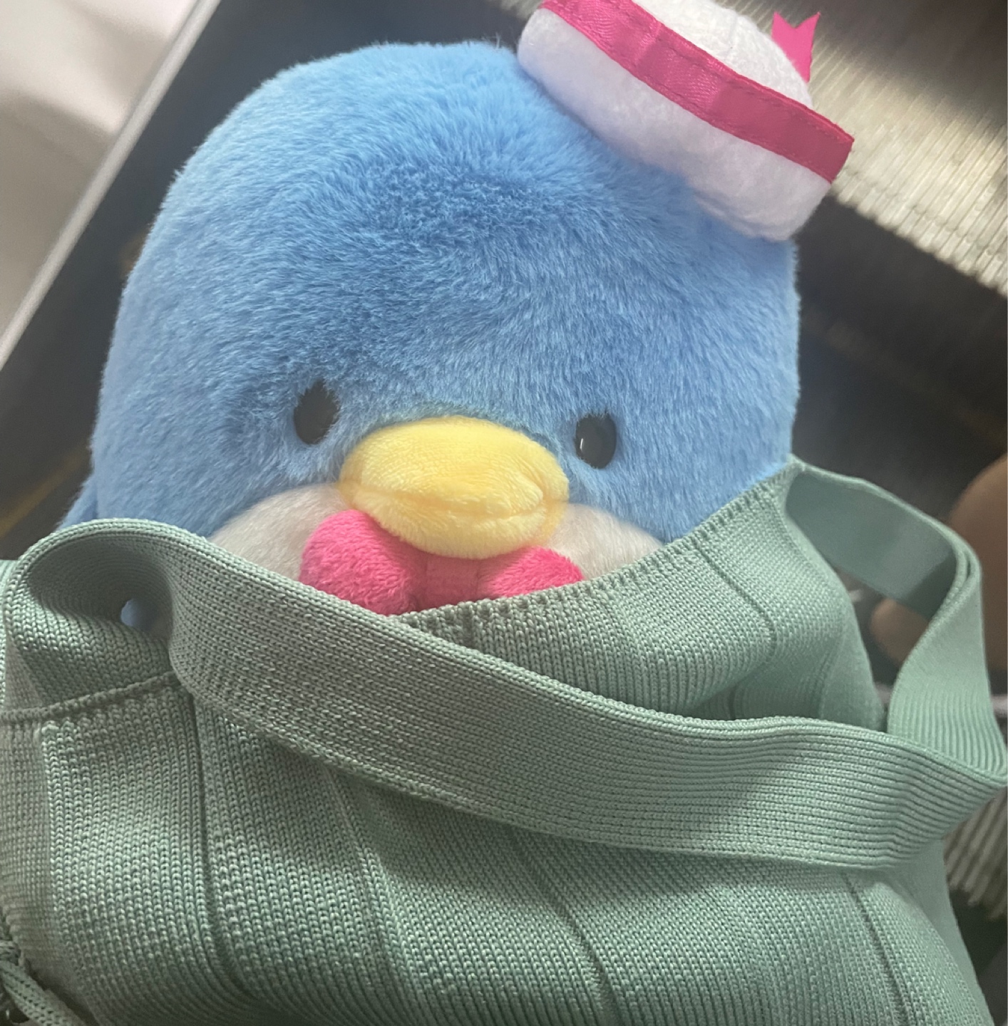 턱시도샘과 아쿠아리움🐟🐋