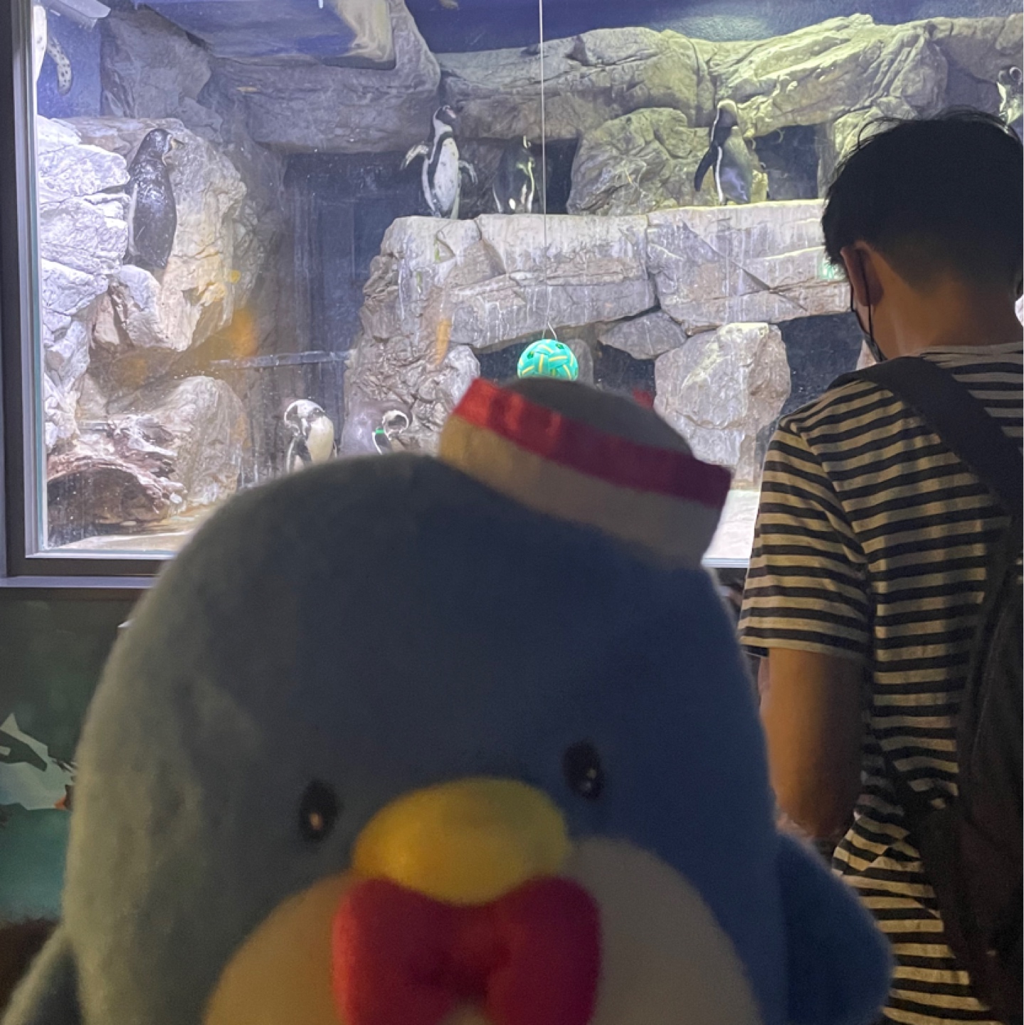 턱시도샘과 아쿠아리움🐟🐋