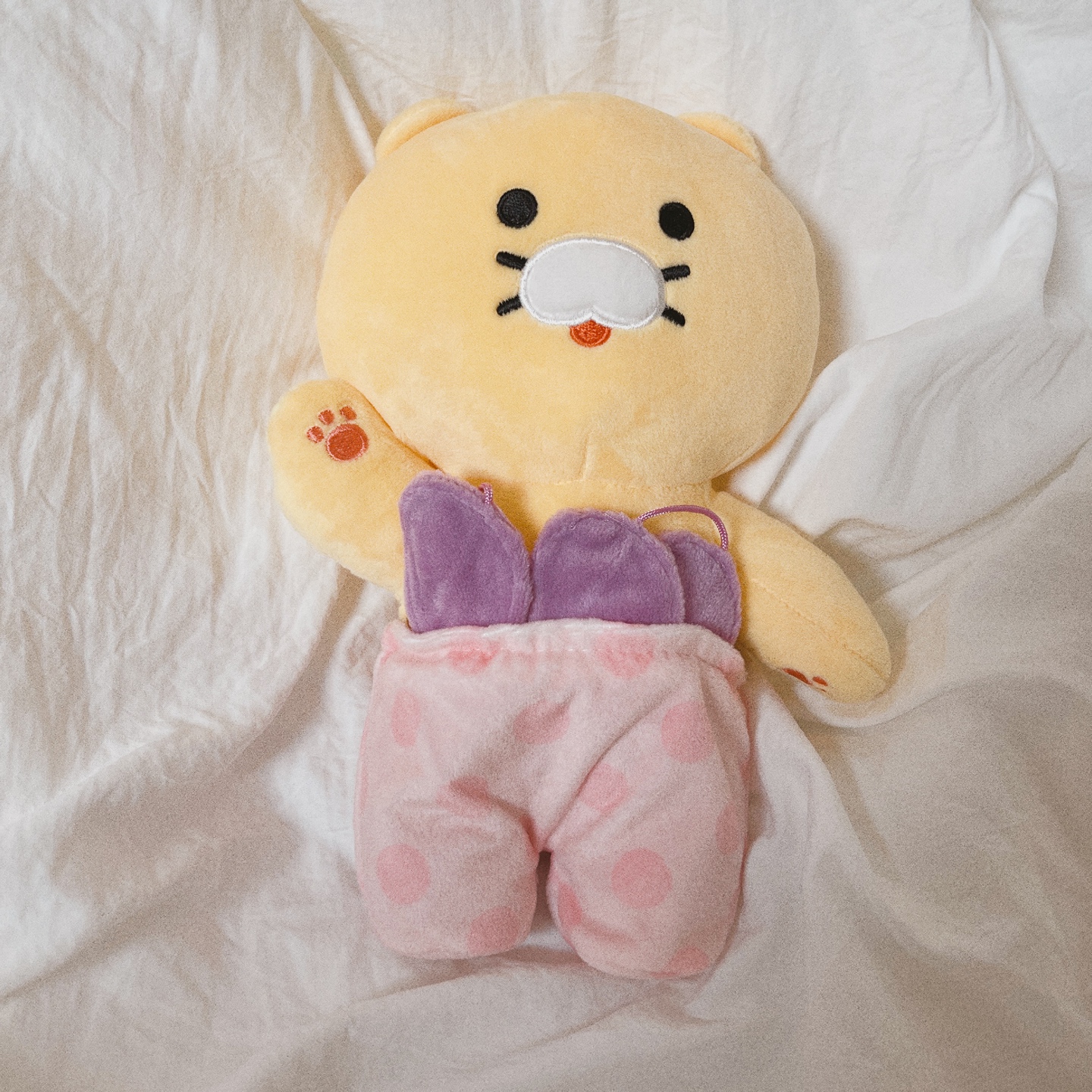 춘식이 노즈워크