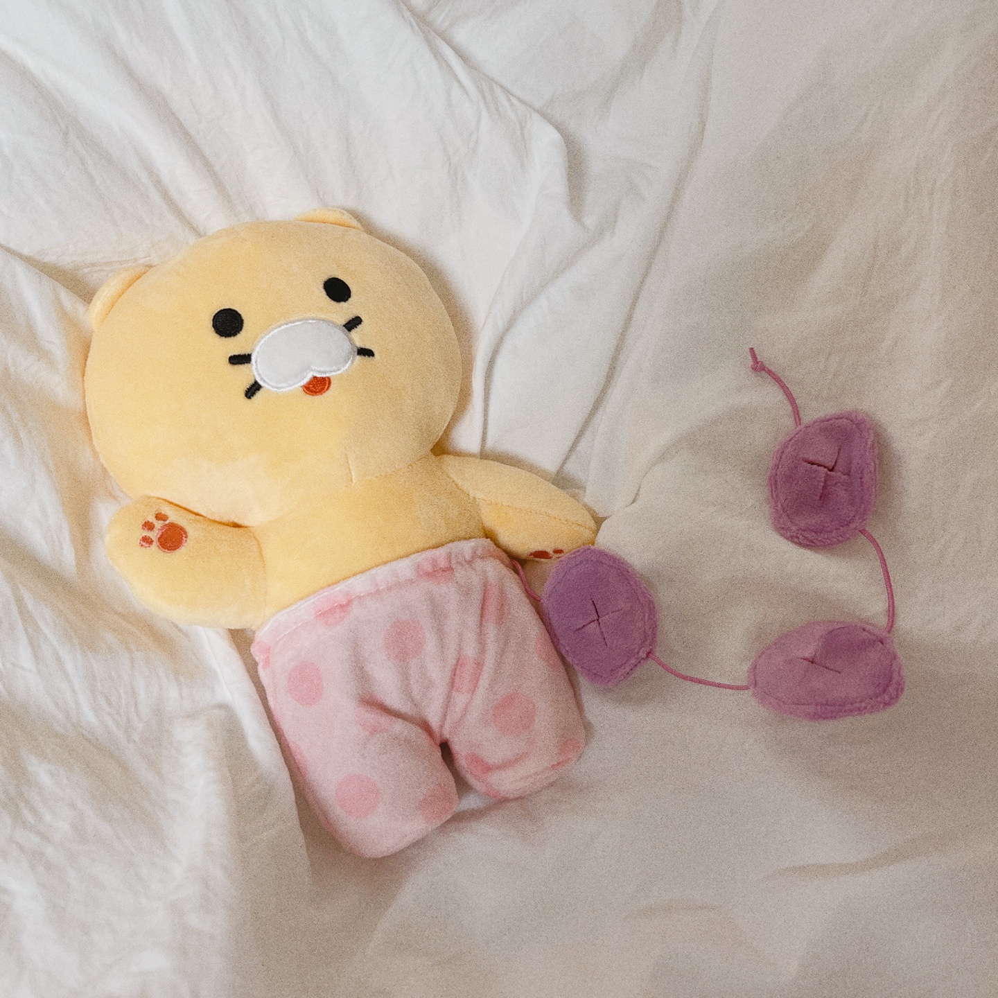 춘식이 노즈워크