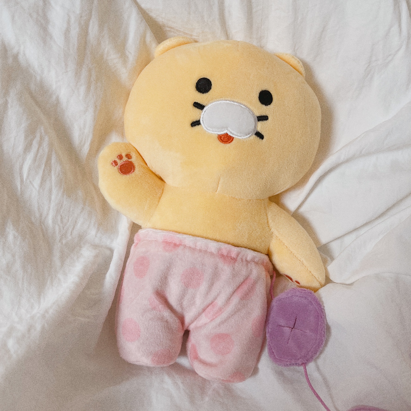 춘식이 노즈워크