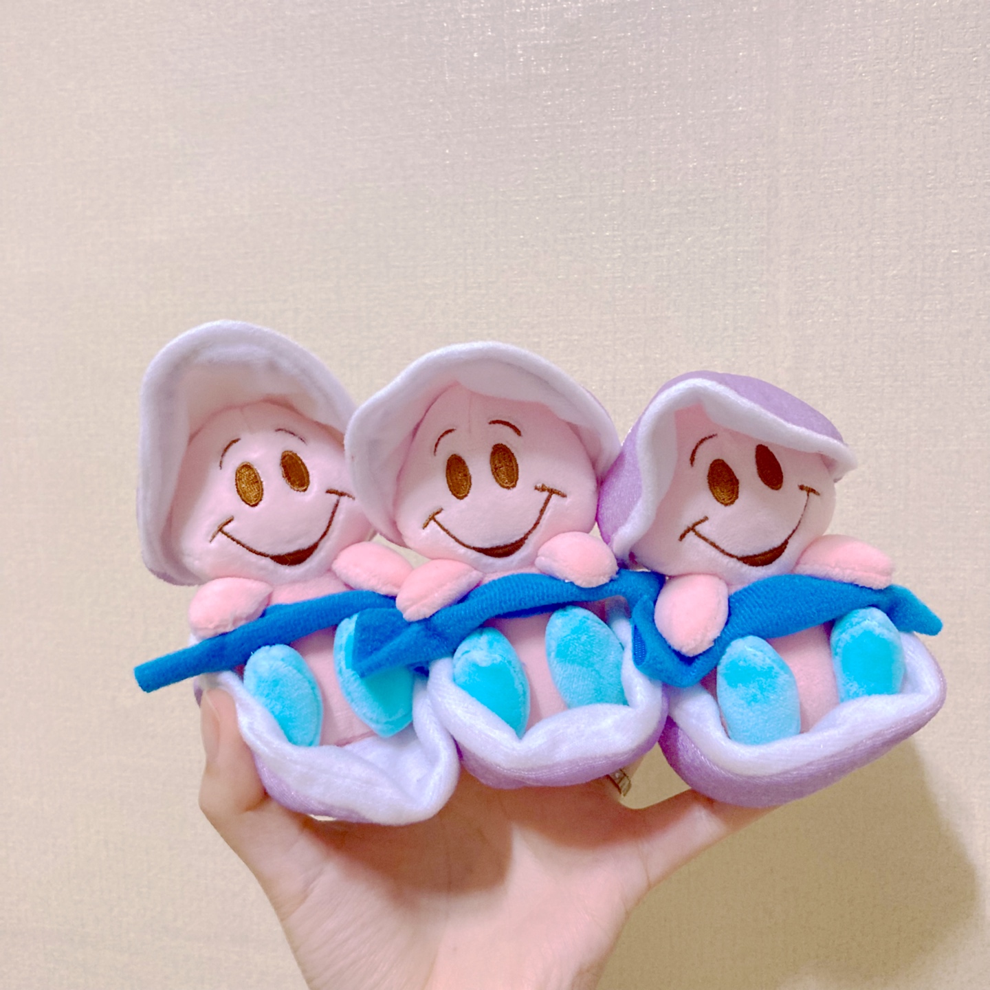 이상한나라의 앨리스
영오이스터 아기굴🦪💕