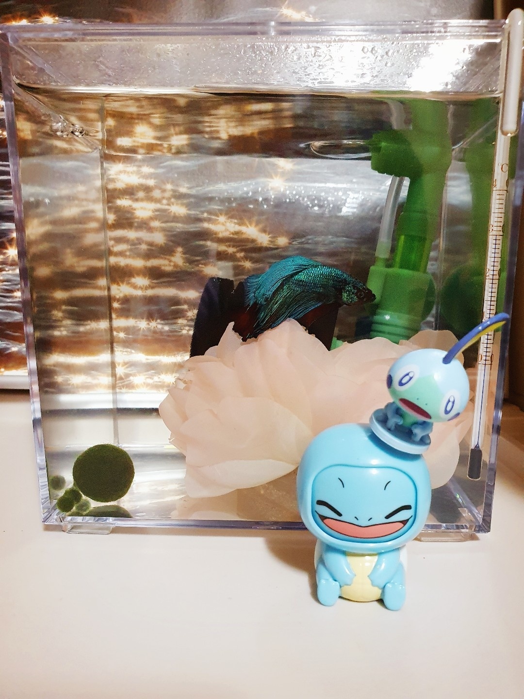 퍼랭이들💙