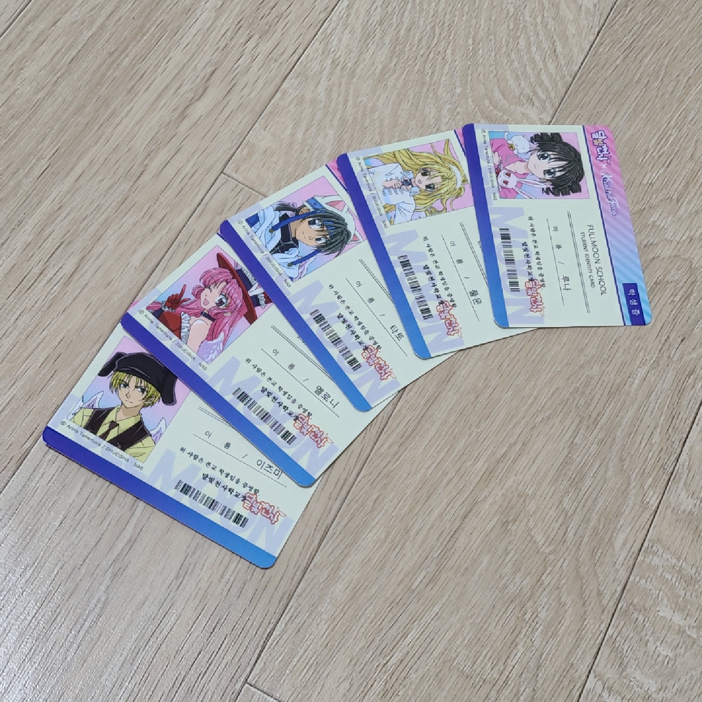 달빛 천사 펀딩 도착 😭🤍