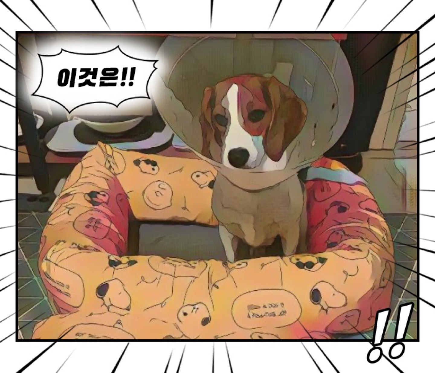스누피와리얼 스누피