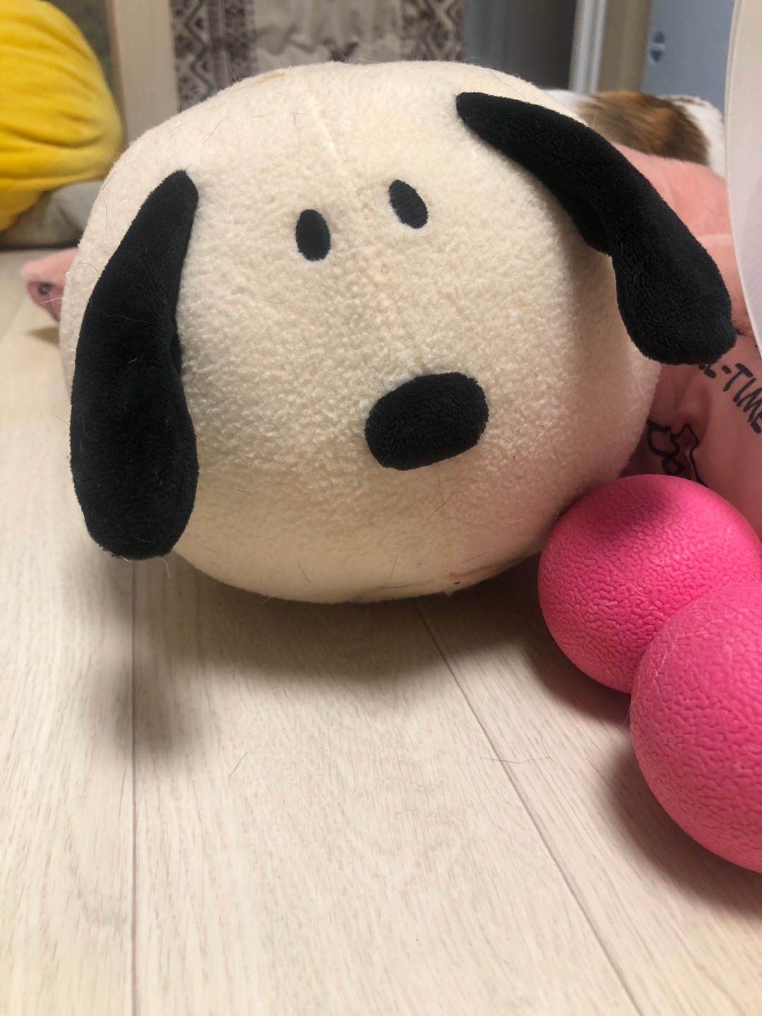 스누피를 찾아라

#전국덕질자랑