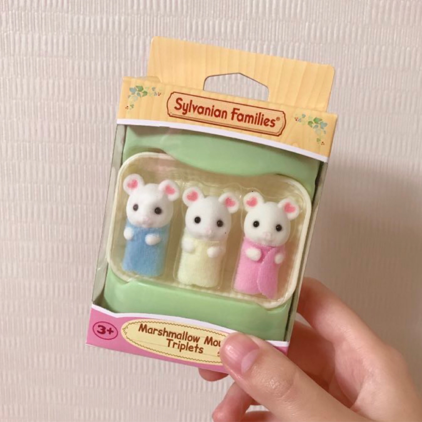 실바니안 마시멜로우 쥐 세쌍둥이🍒