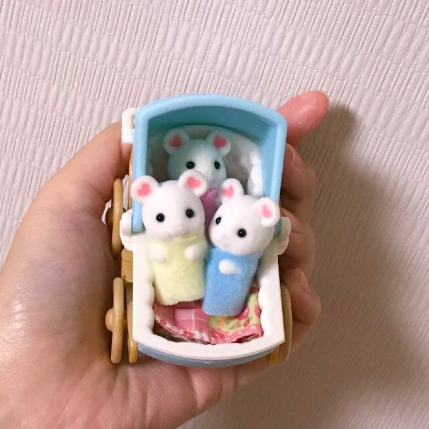 실바니안 마시멜로우 쥐 세쌍둥이🍒