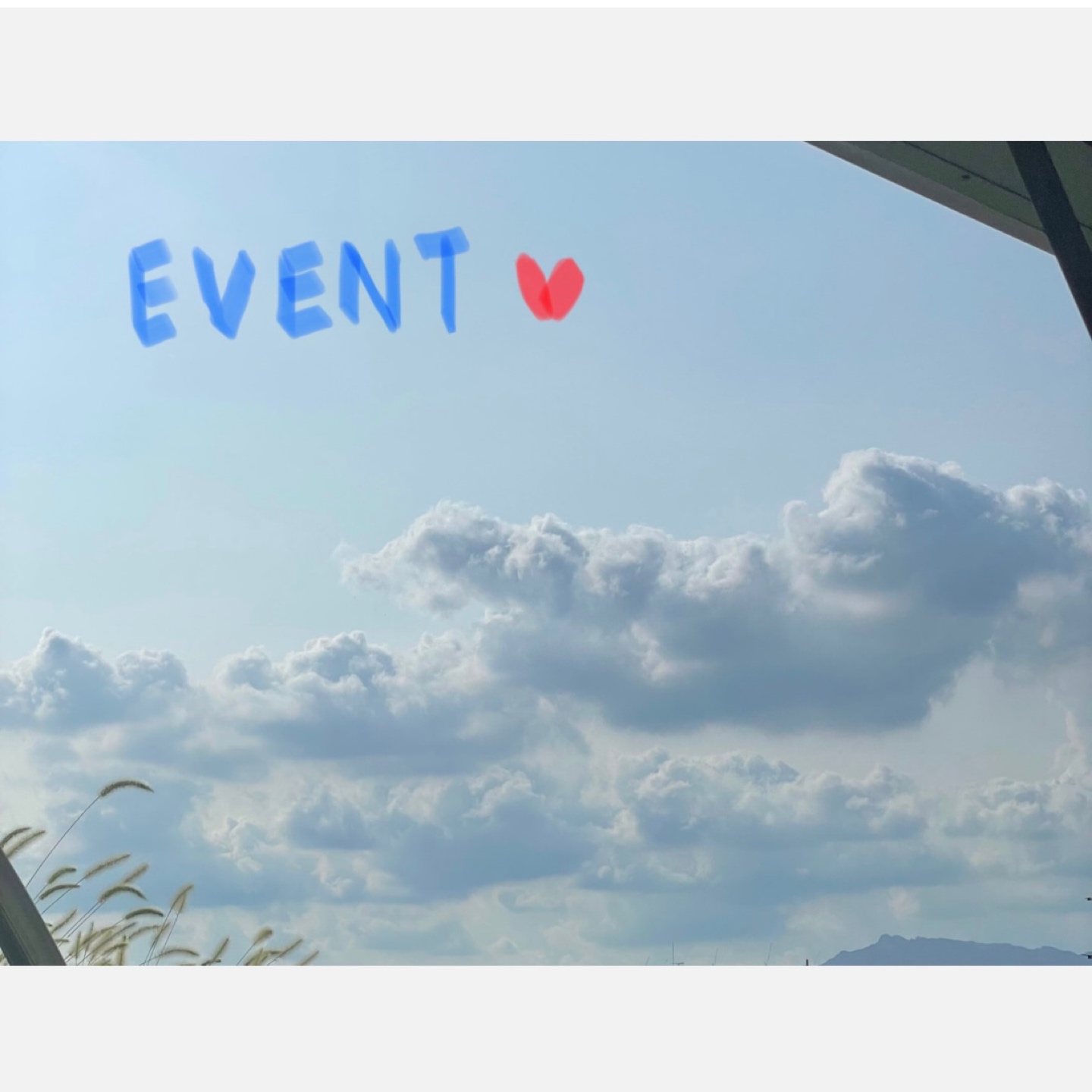 다을링님 이벤트 참여💗