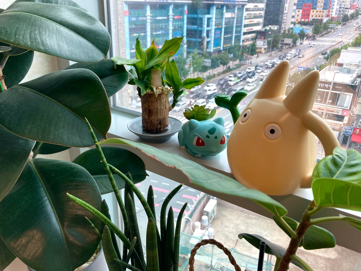 토토로 물뿌리개