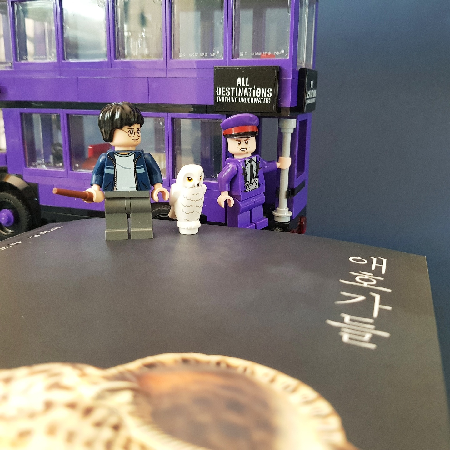 1일 1책하면서