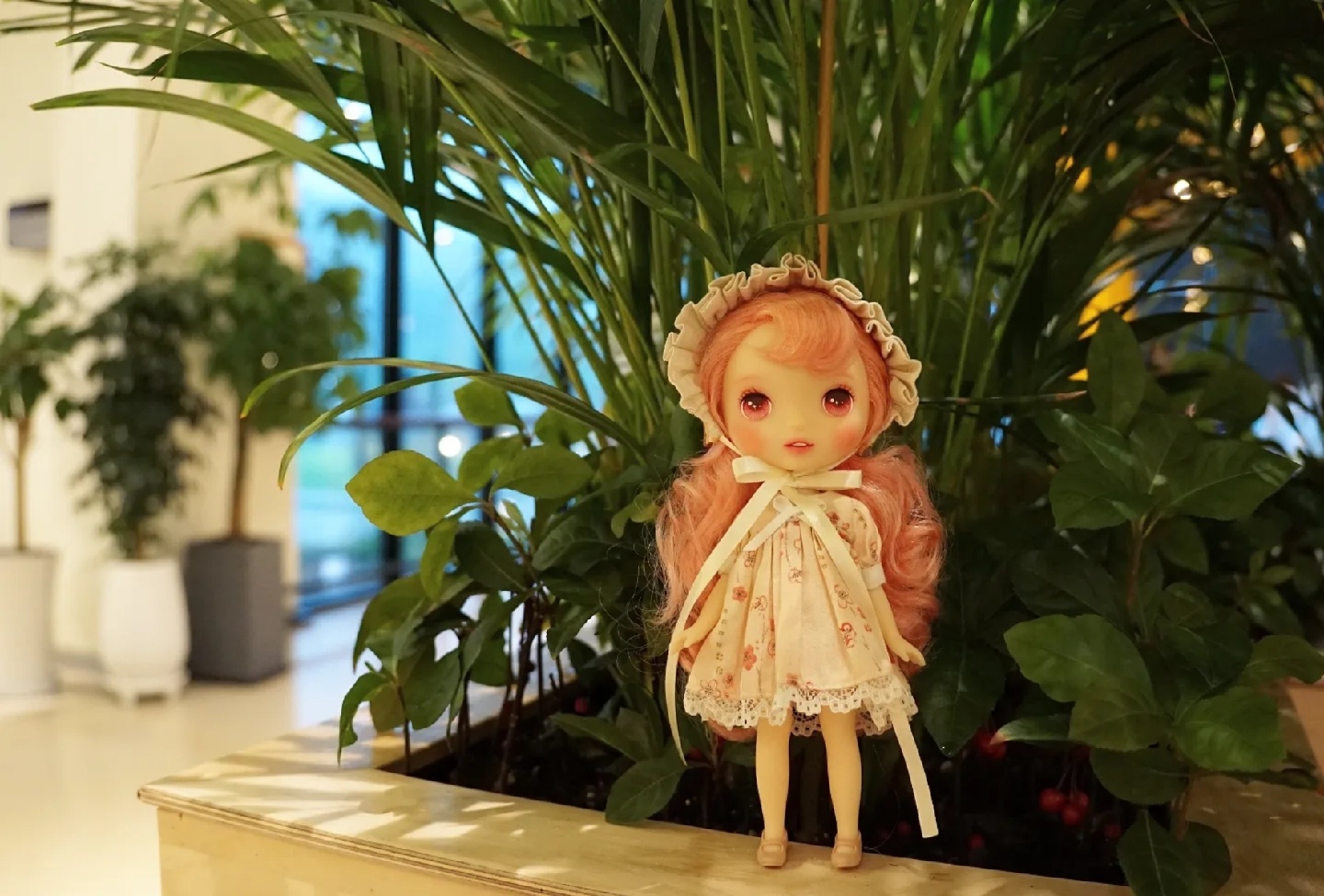 달리아