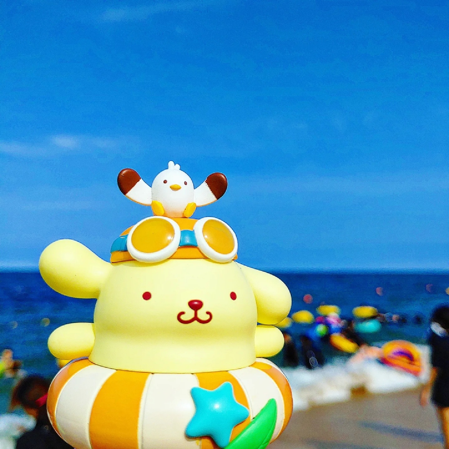 속초바다에서 한껏 수영하고 있는 푸린이!