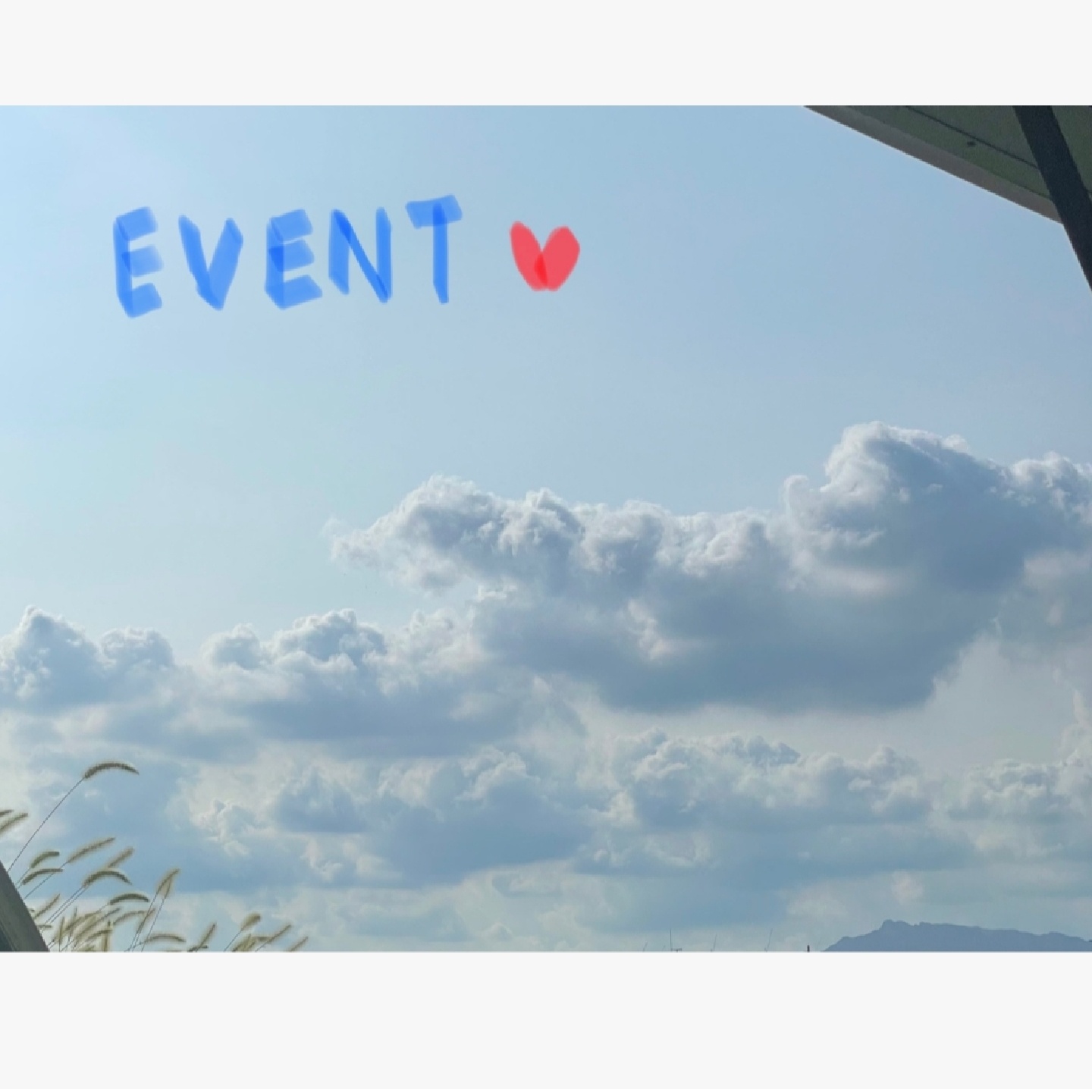 제발ㅠ