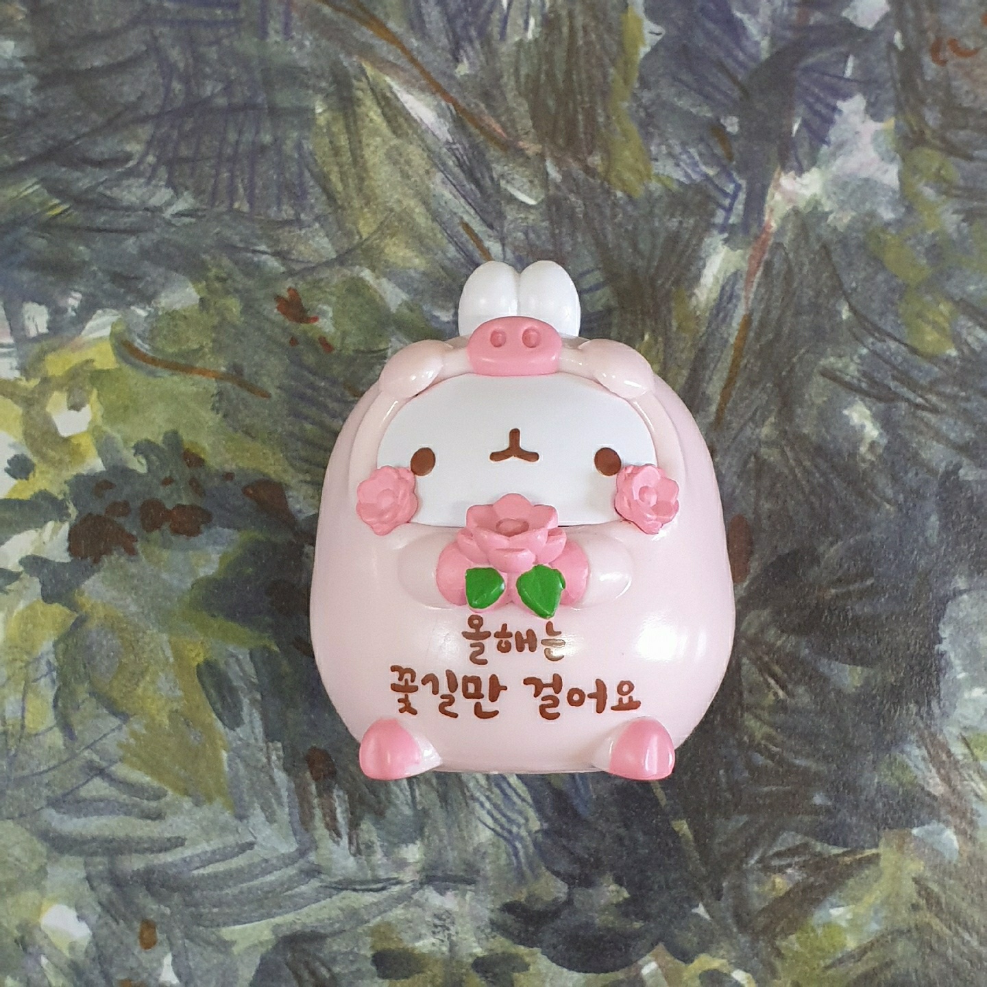 돼지몰랑