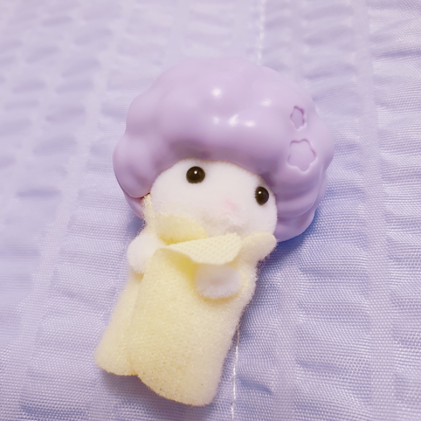 🧸베이비 헤어살롱 💕