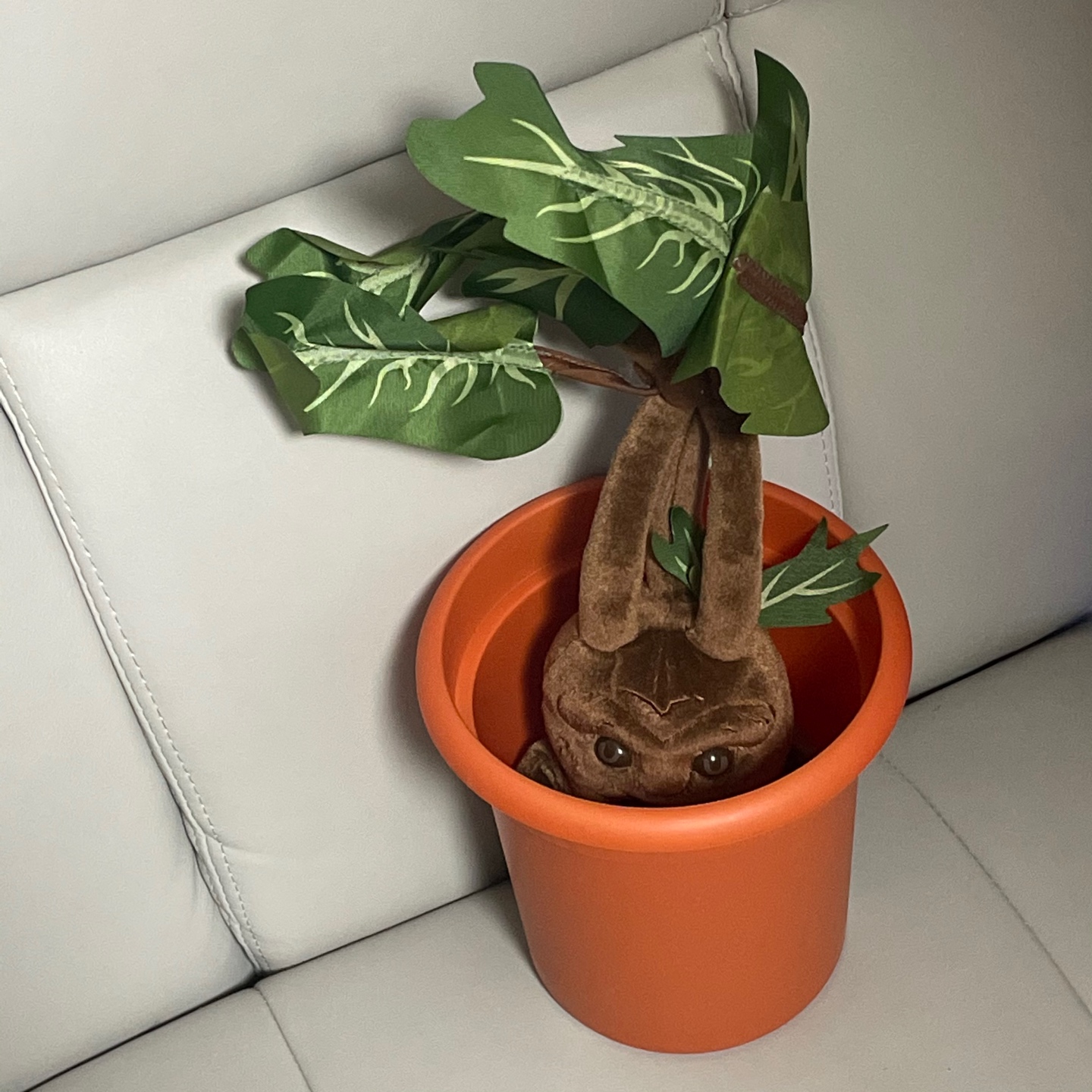 맨드레이크