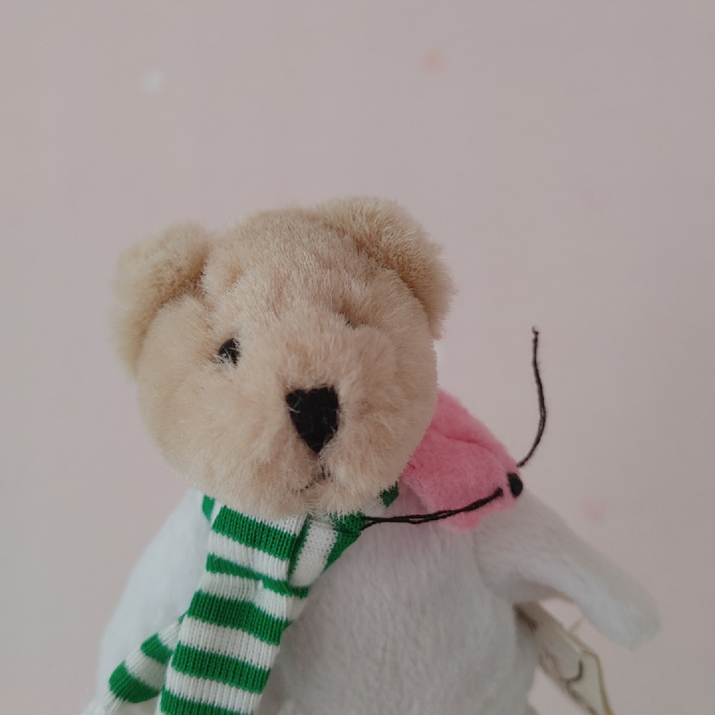 빈티지 곰인형 🐻