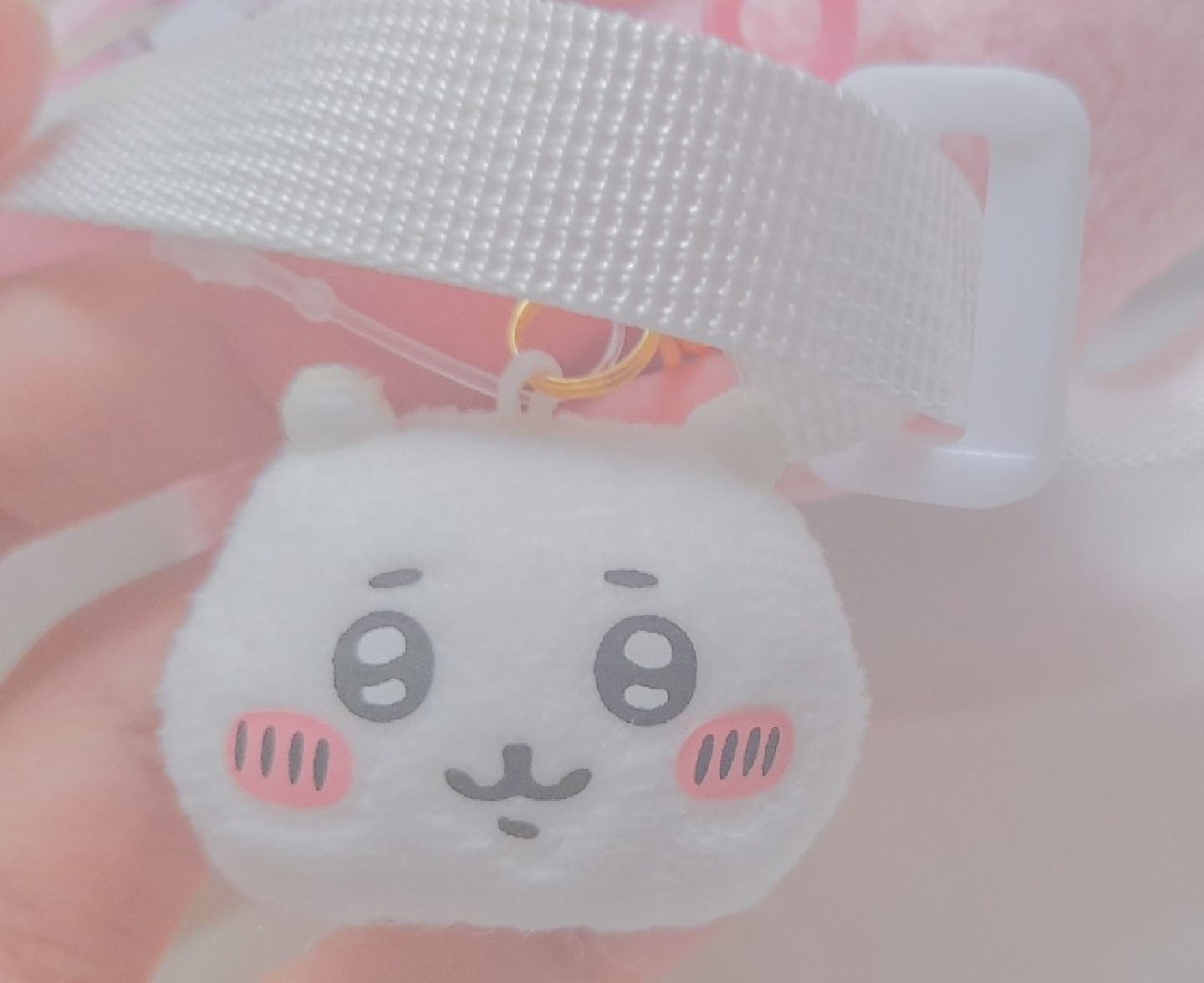치이카와 쿠마상 포셰트