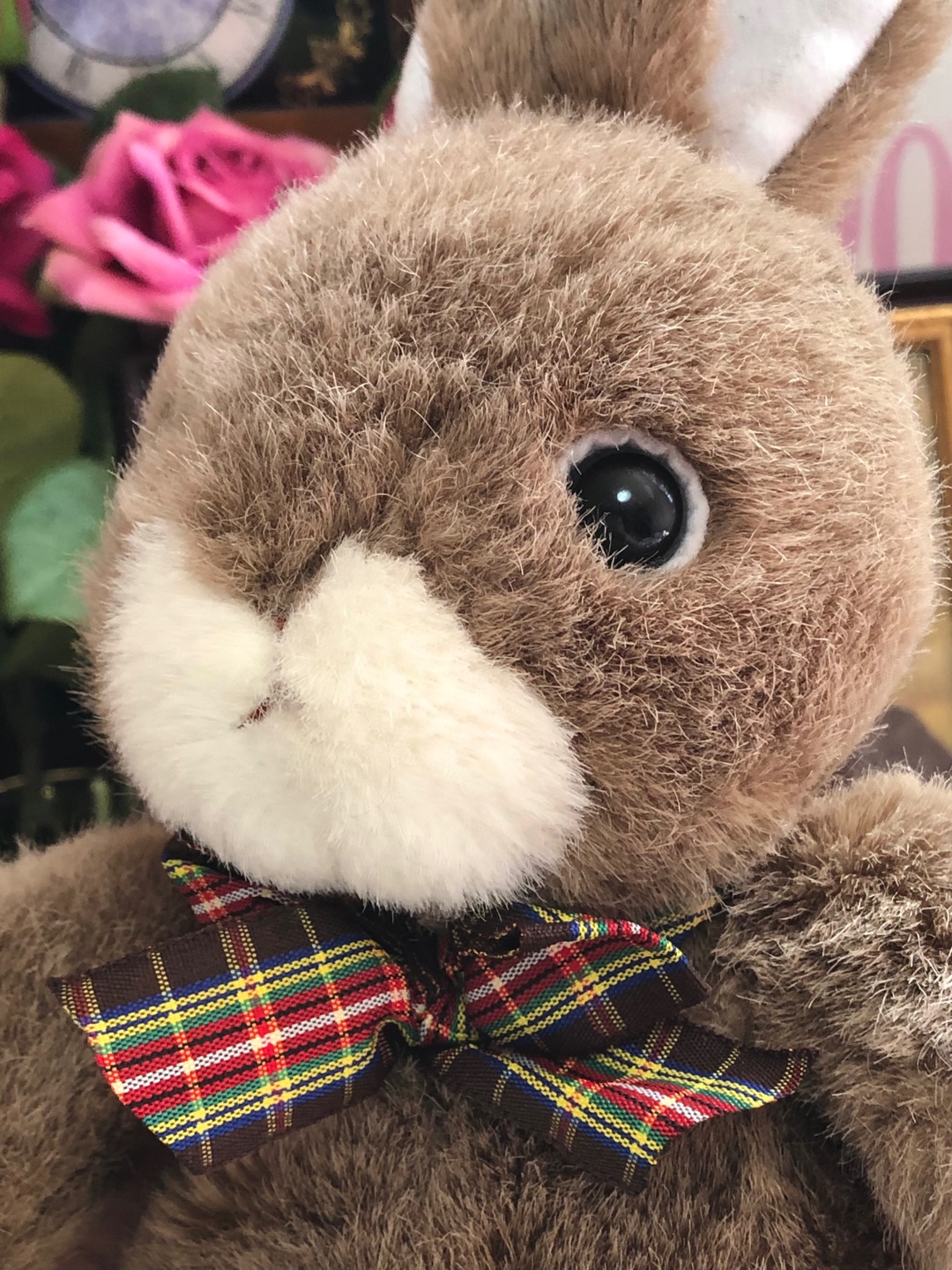 토끼 1995년도 sega에서 출시된 | 콜리(Colley)