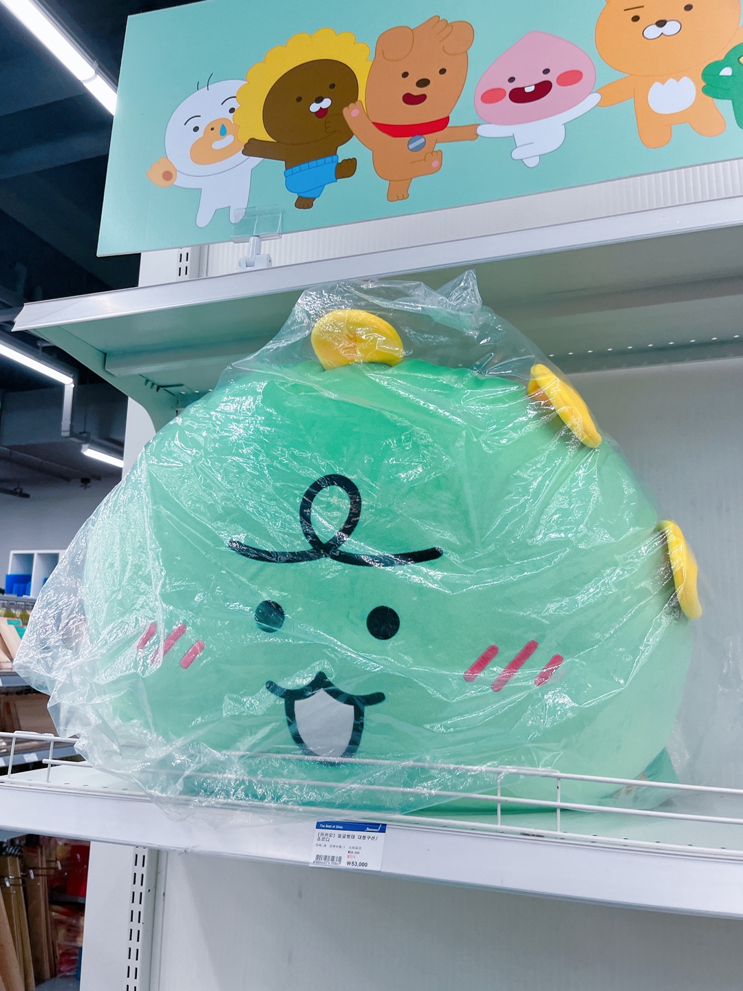 카카오프렌즈~~