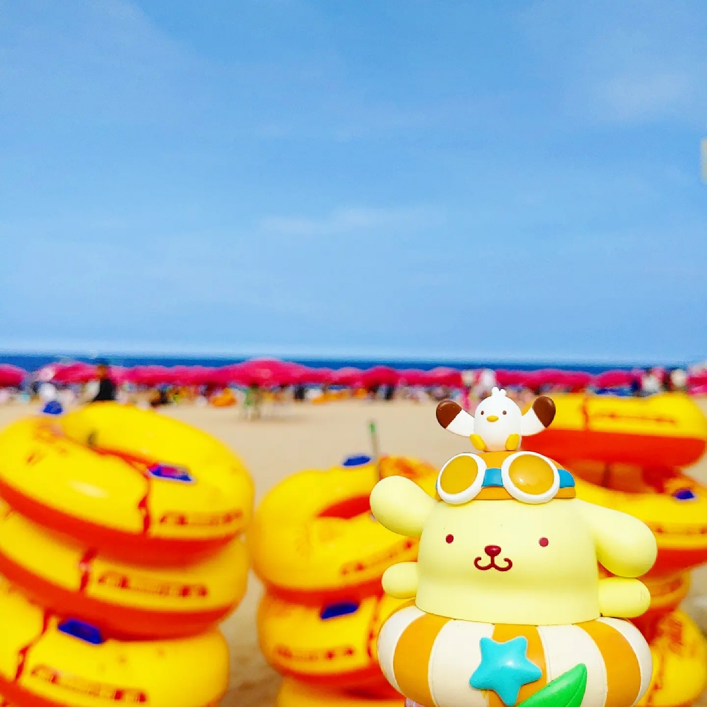 튜브를 정리하는 푸푸푸링~!