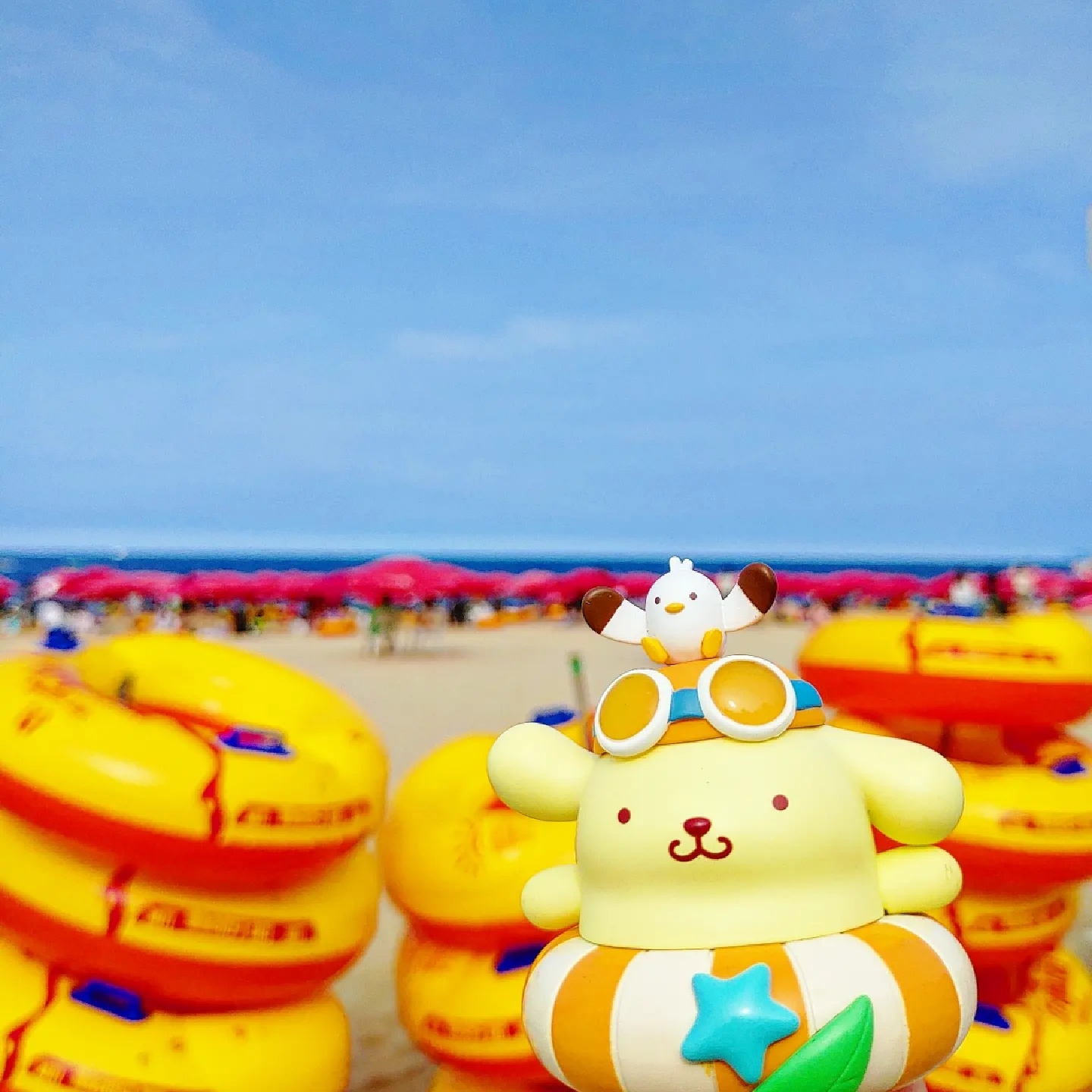 튜브를 정리하는 푸푸푸링~!