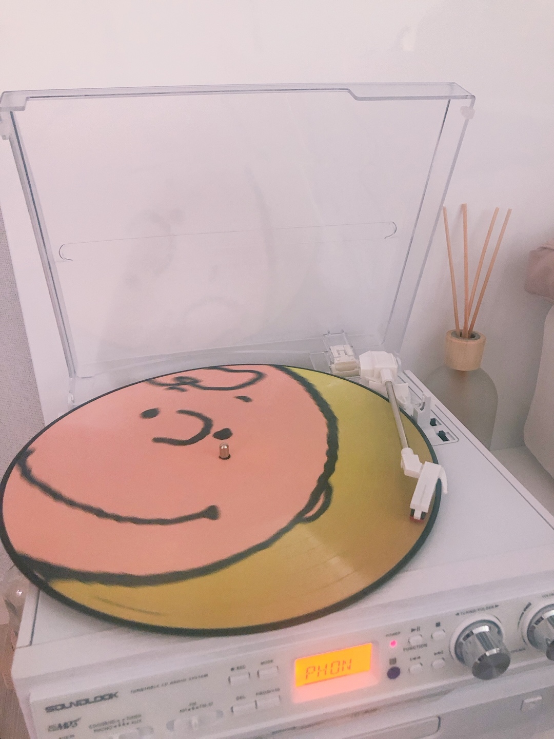 찰리브라운 LP