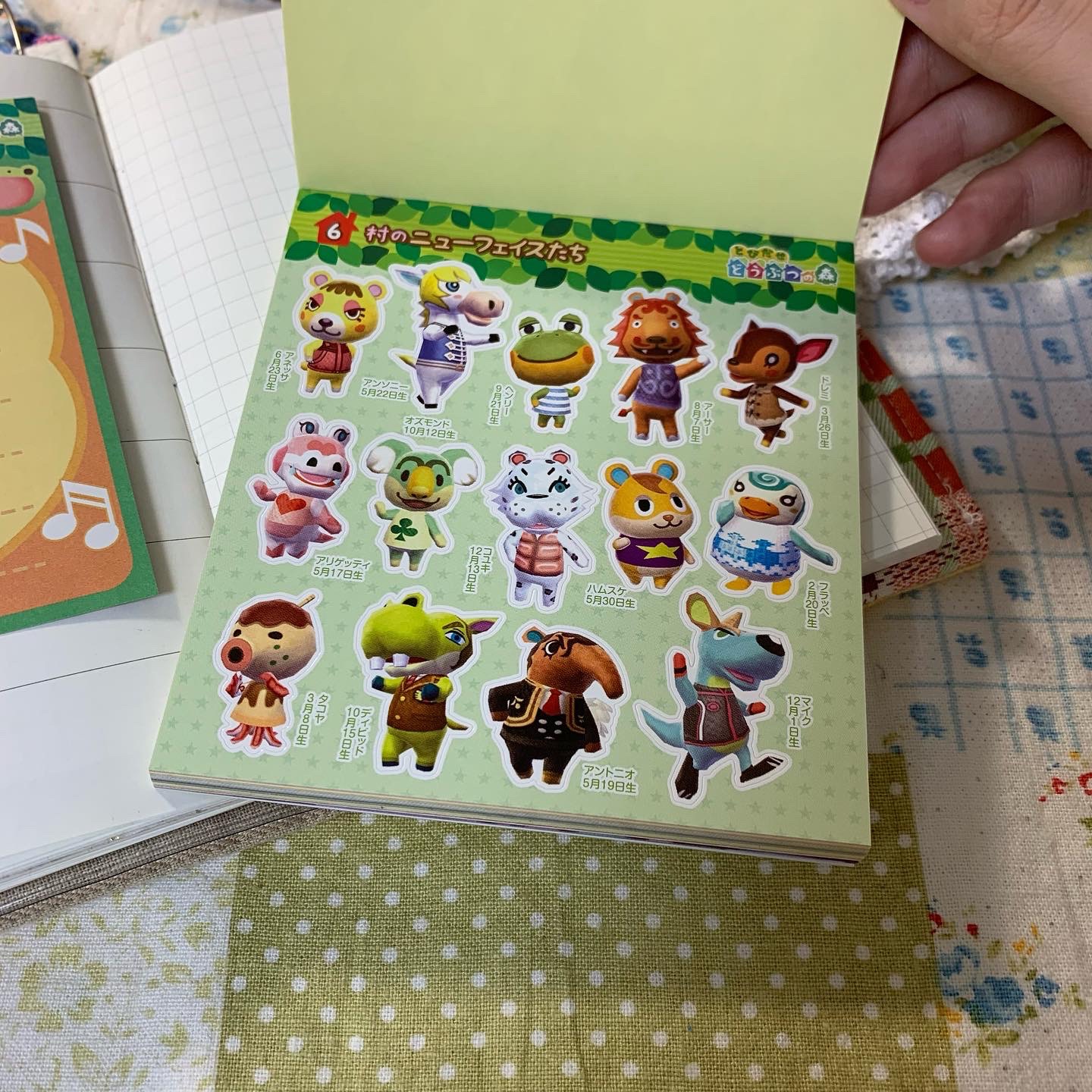 [닌텐도][게임] 동물의 숲 스티커북☘️