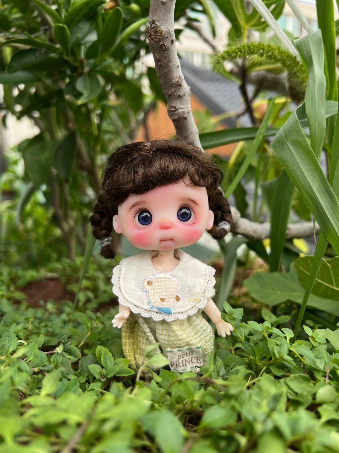 초록