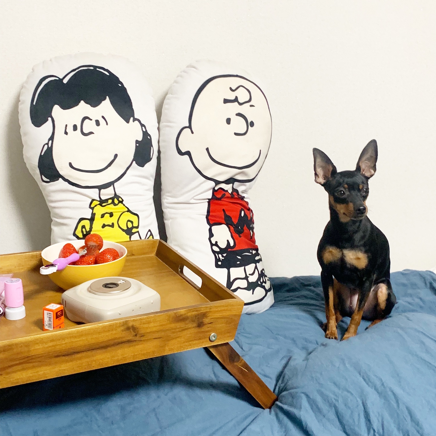 스누피인형