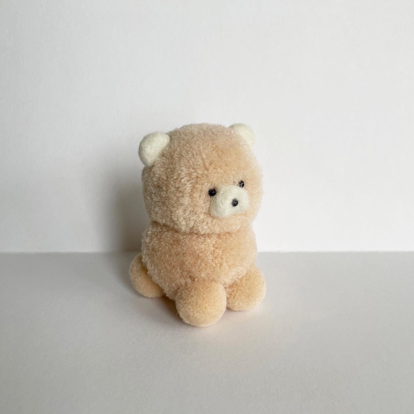 뛰뛰 곰곰🚗🐻