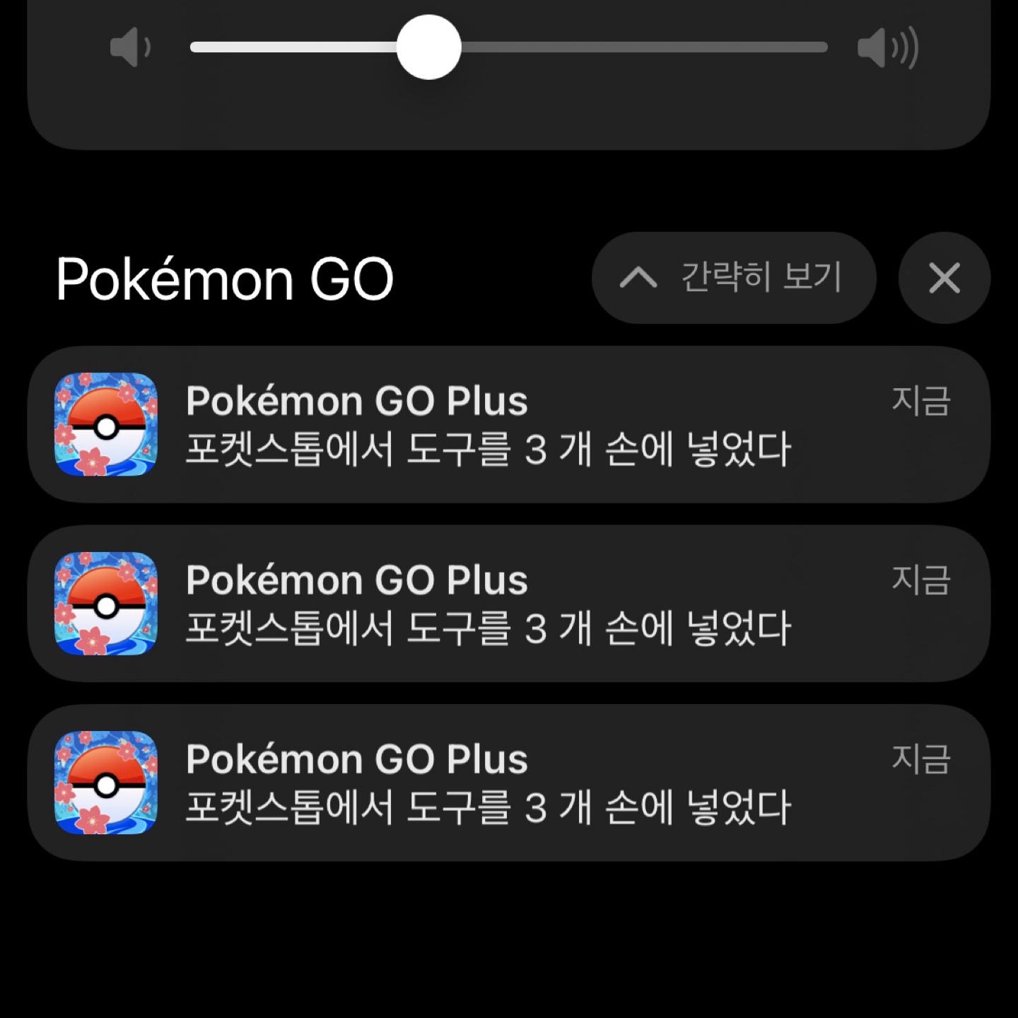 야생의 포켓에그를 발견했다🫢!