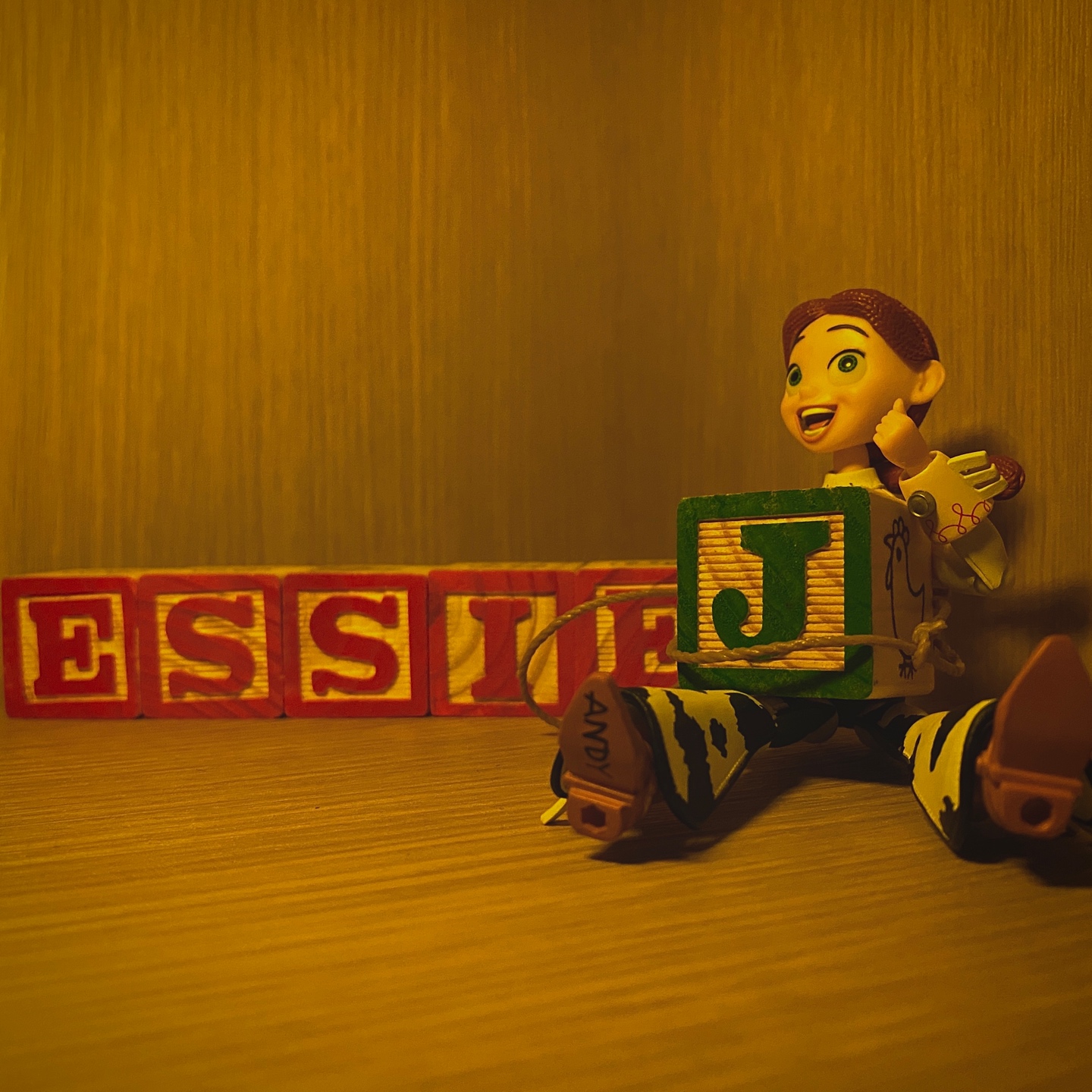 TOY STORY
