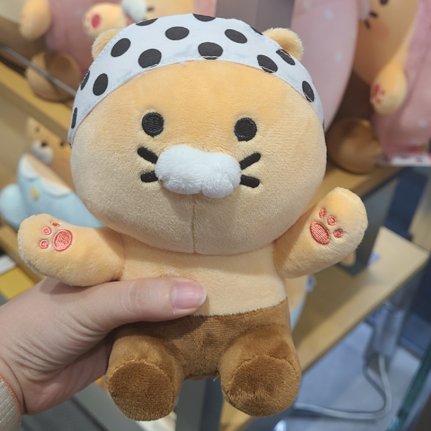 춘식이♡
