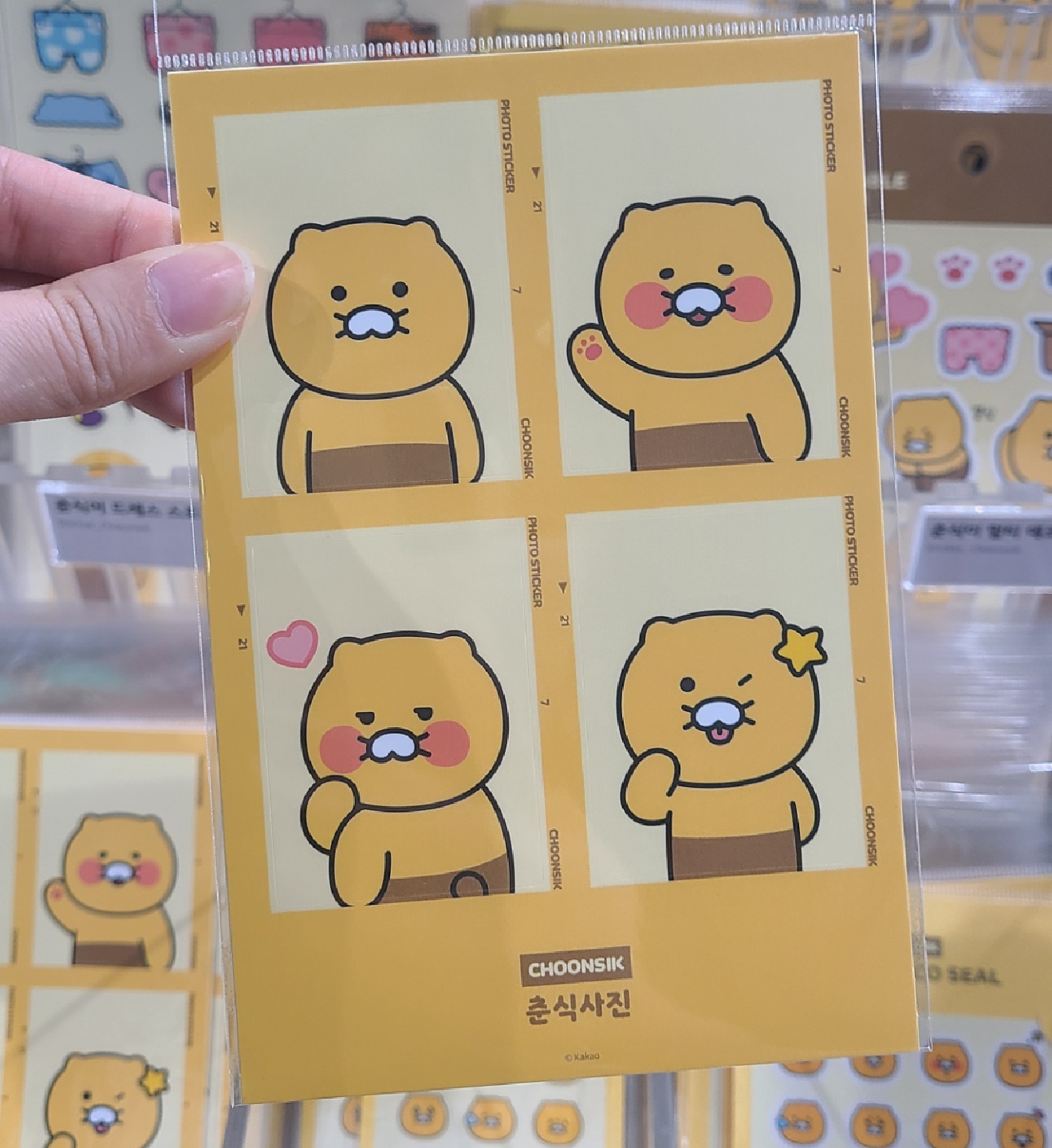 춘식이♡