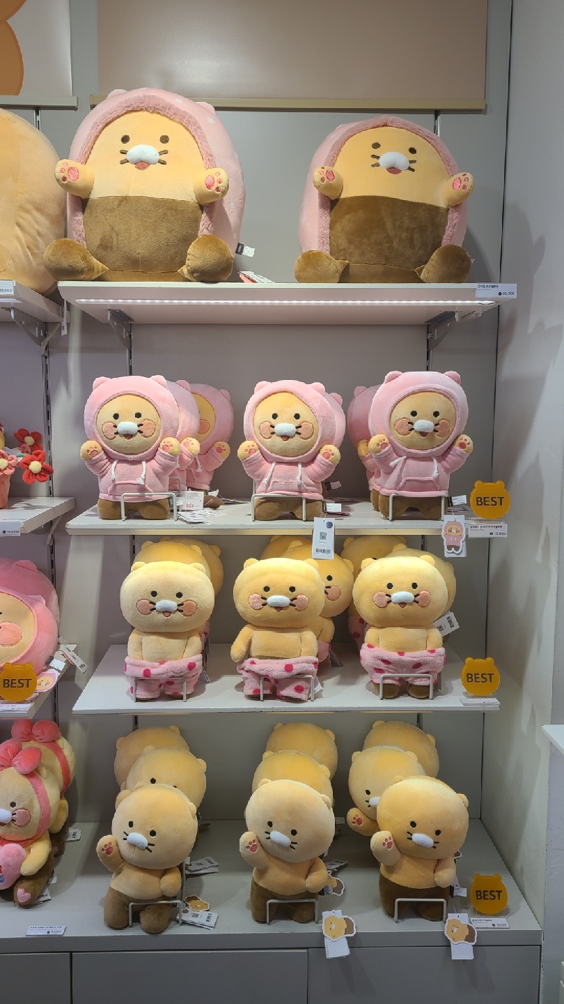 춘식이♡