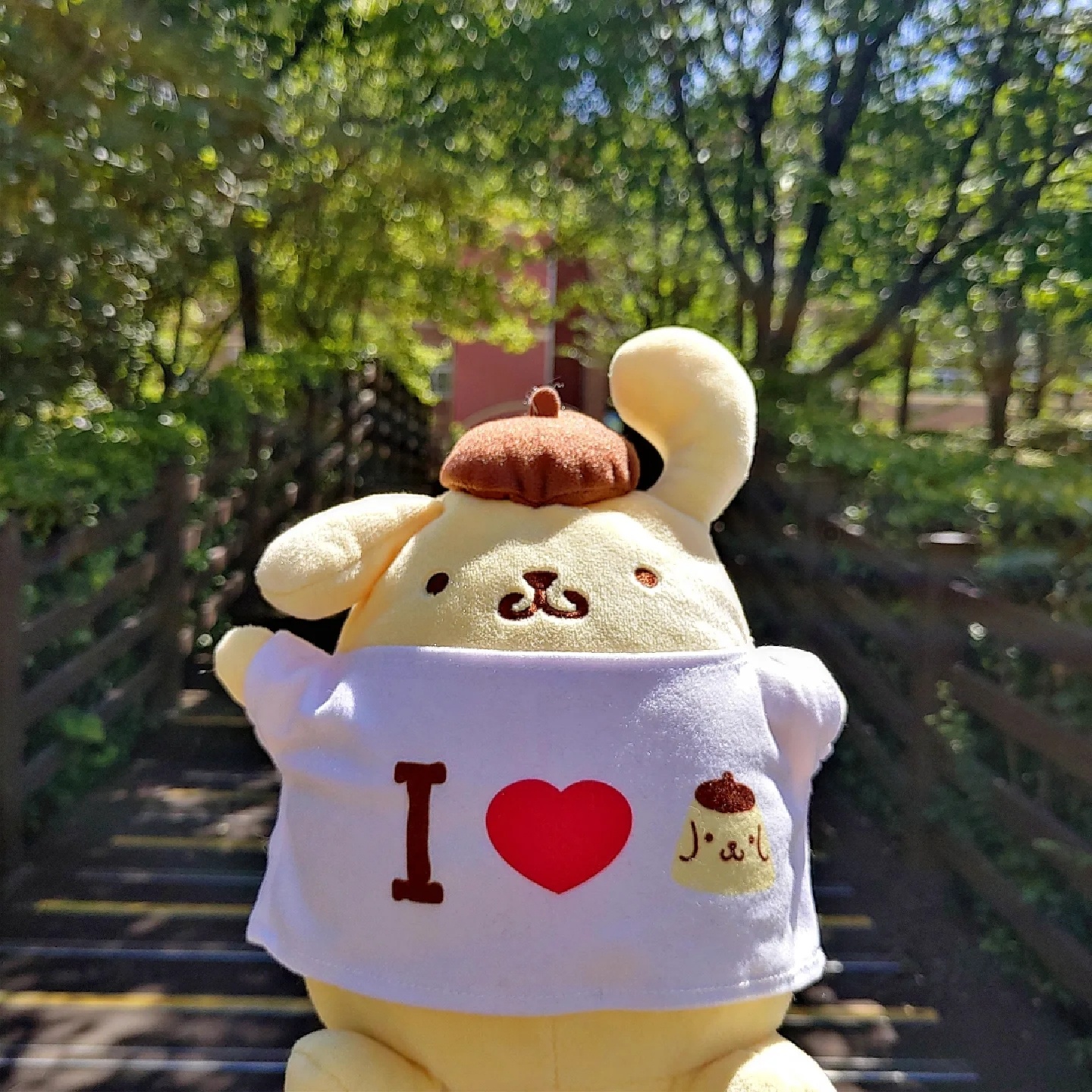 벌써 후드티를 입는 폼폼푸린이!