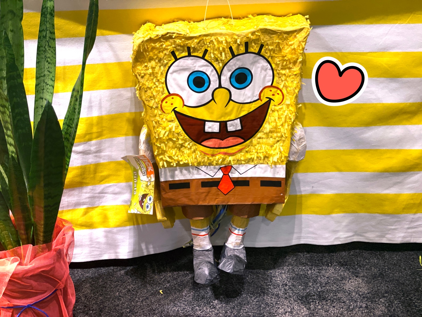 🌟콜리X대중소 팝업스토어🌟