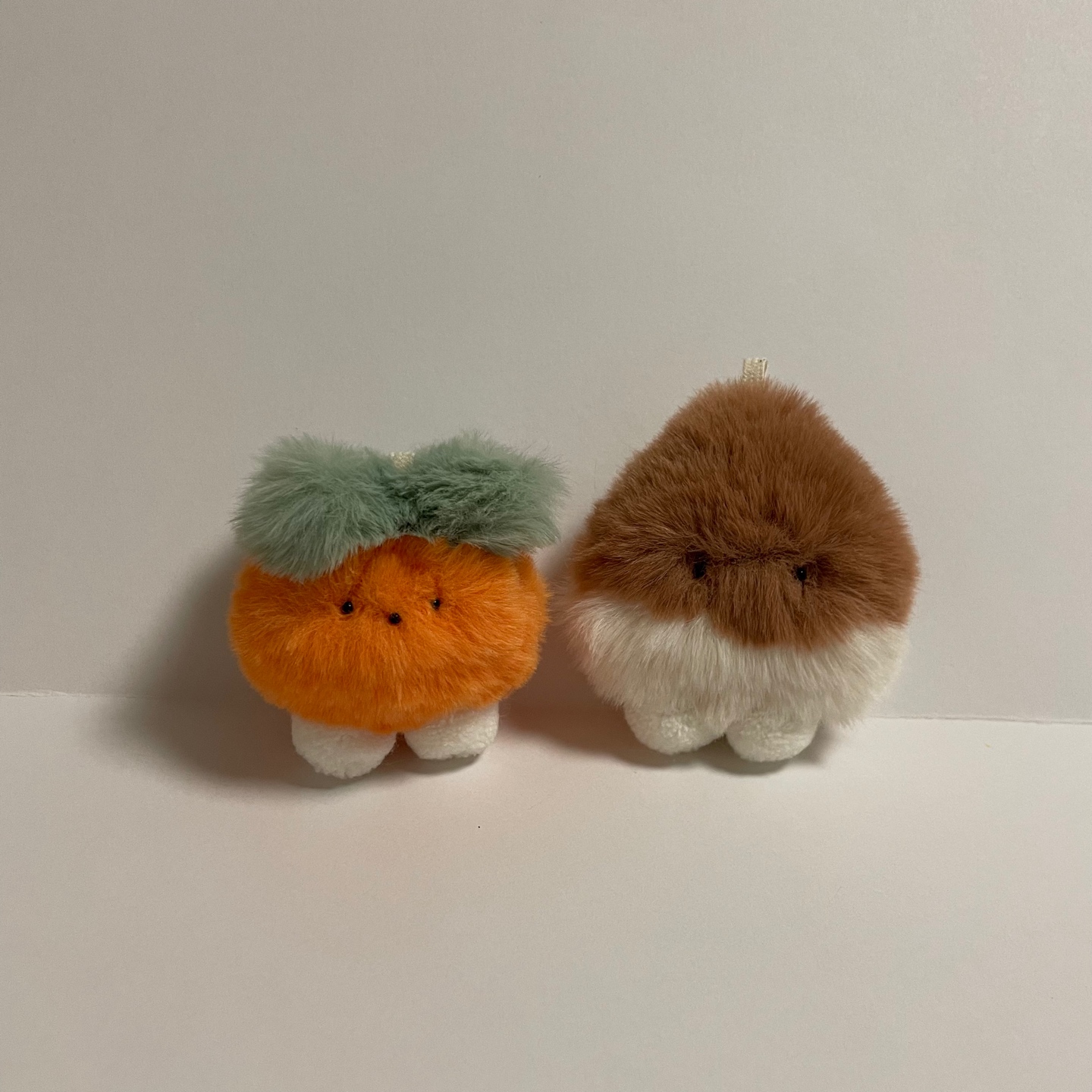 단감이와 밤톨이🍊🌰