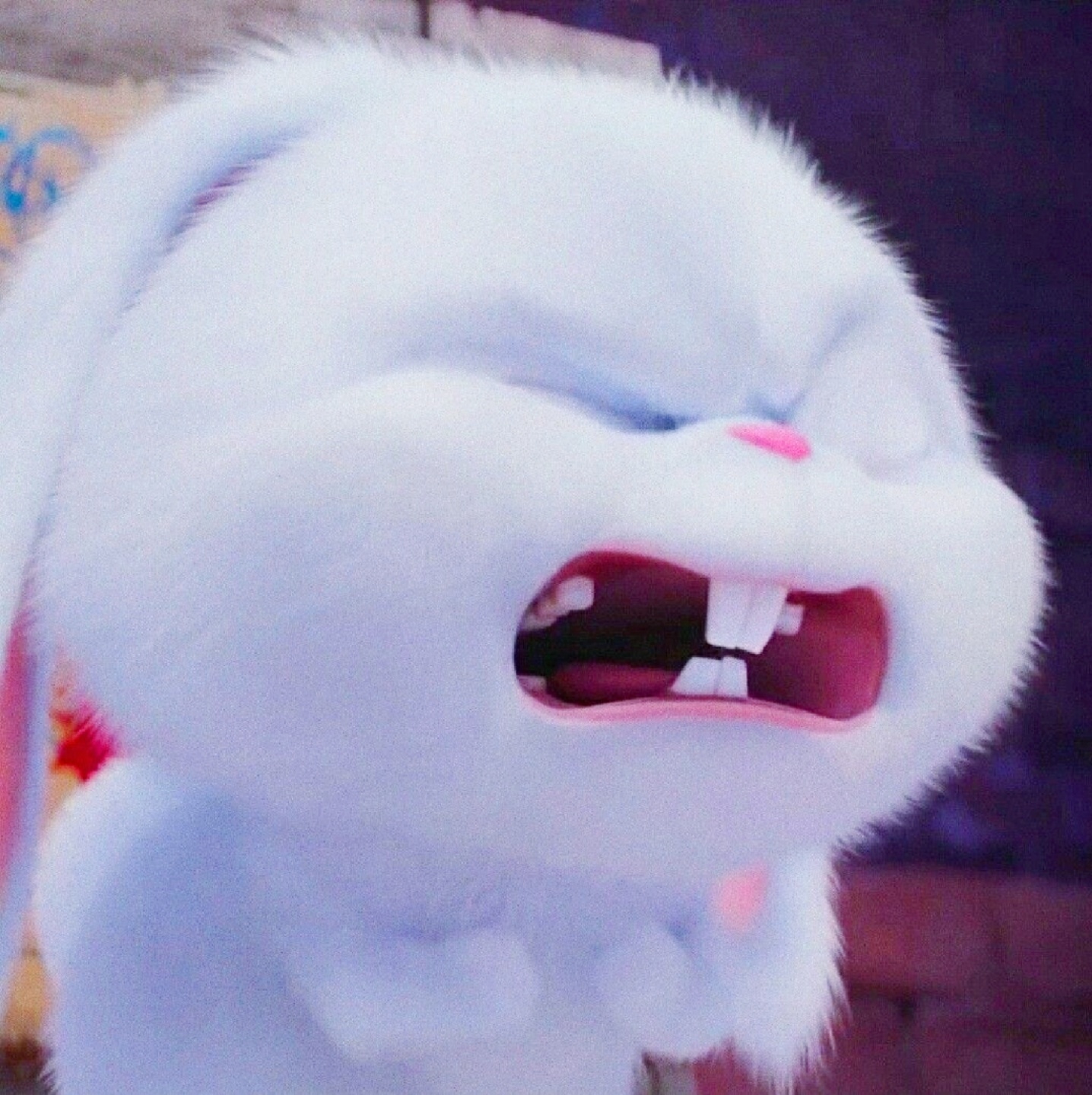 제목 없음