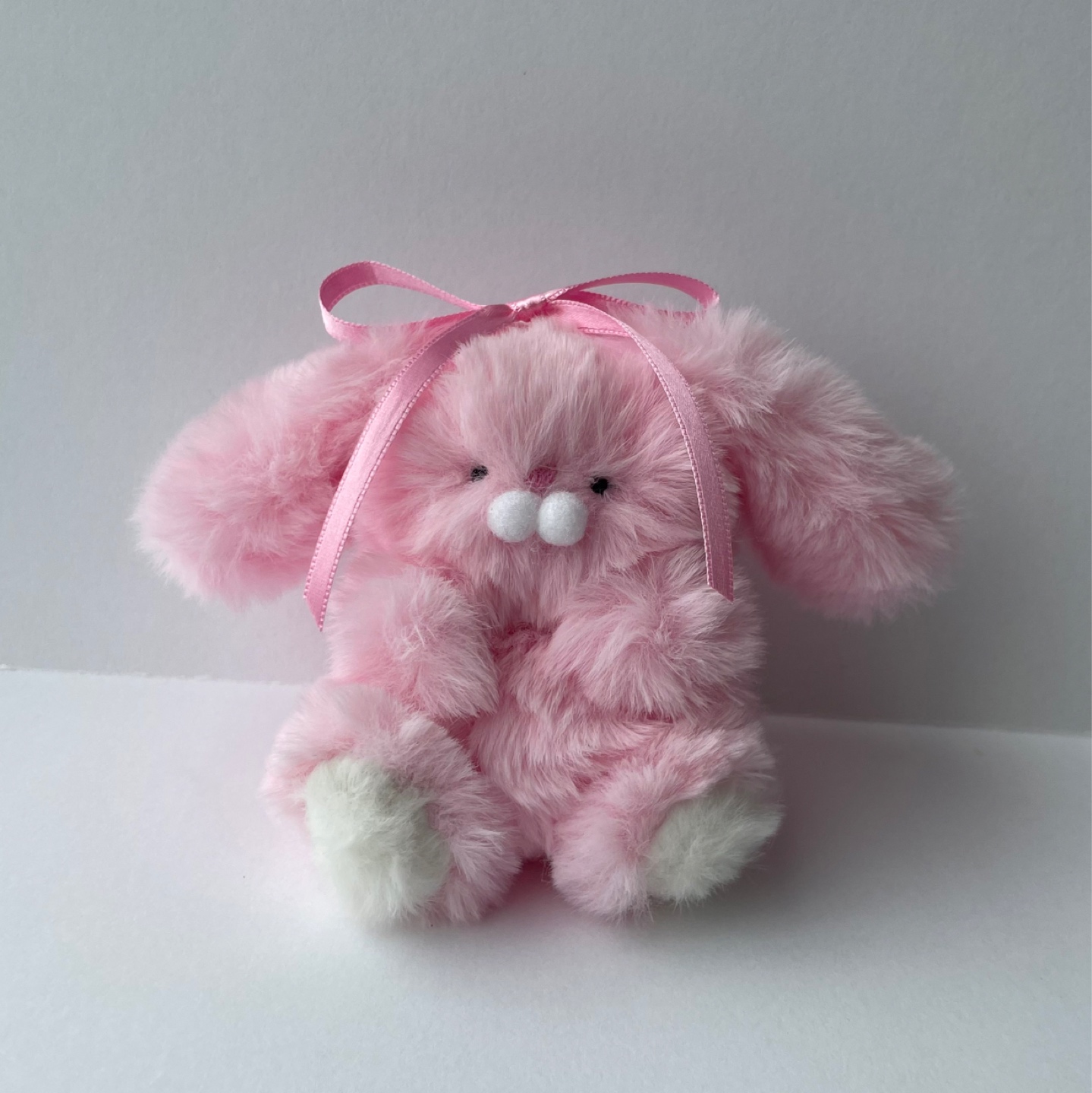 롭이어 토끼🐰🎀