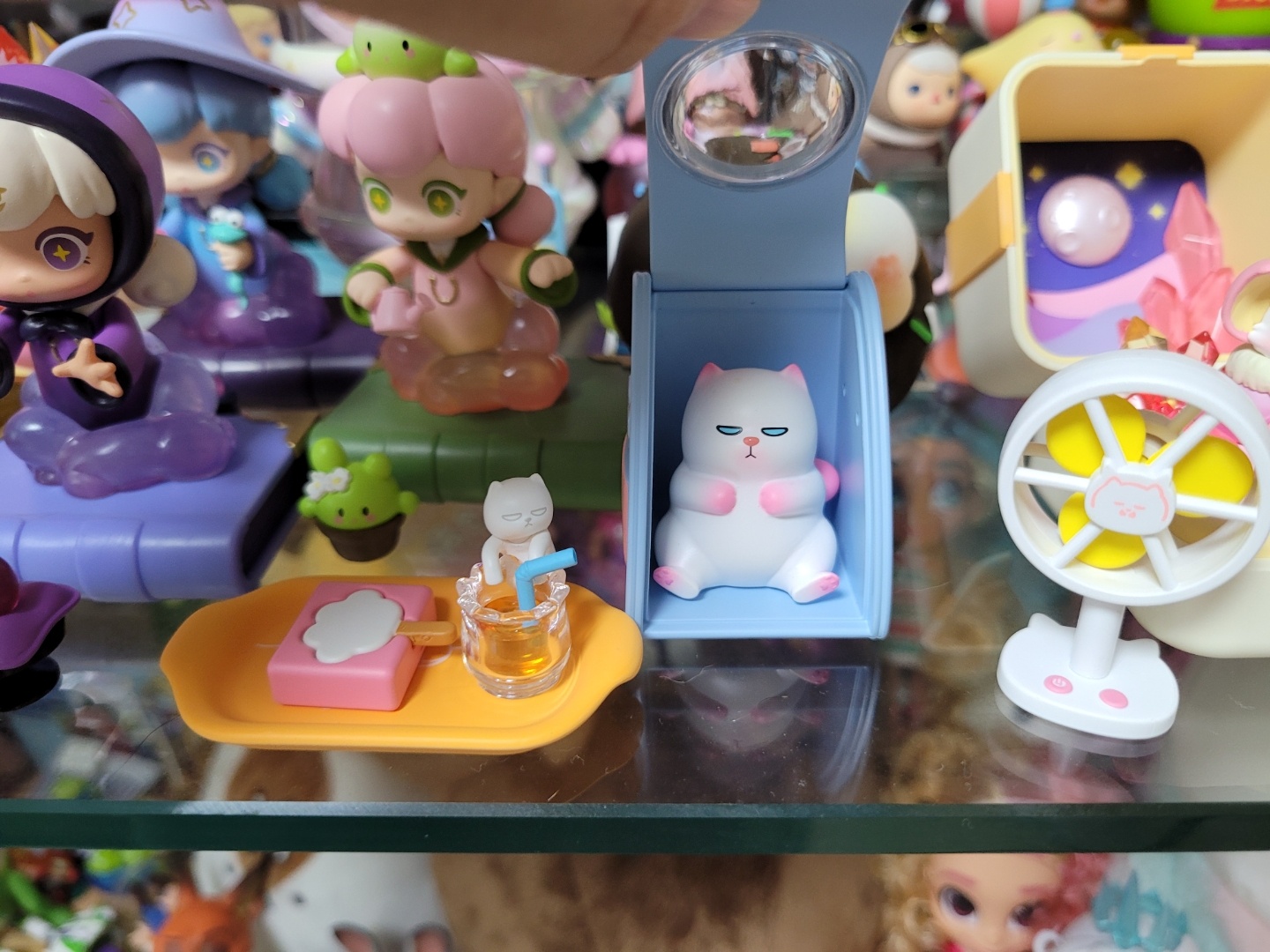 비비캣 정원 야옹이~~