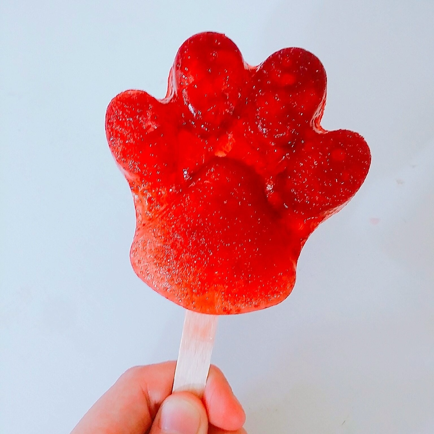 주토피아 팝시클🐾🍦