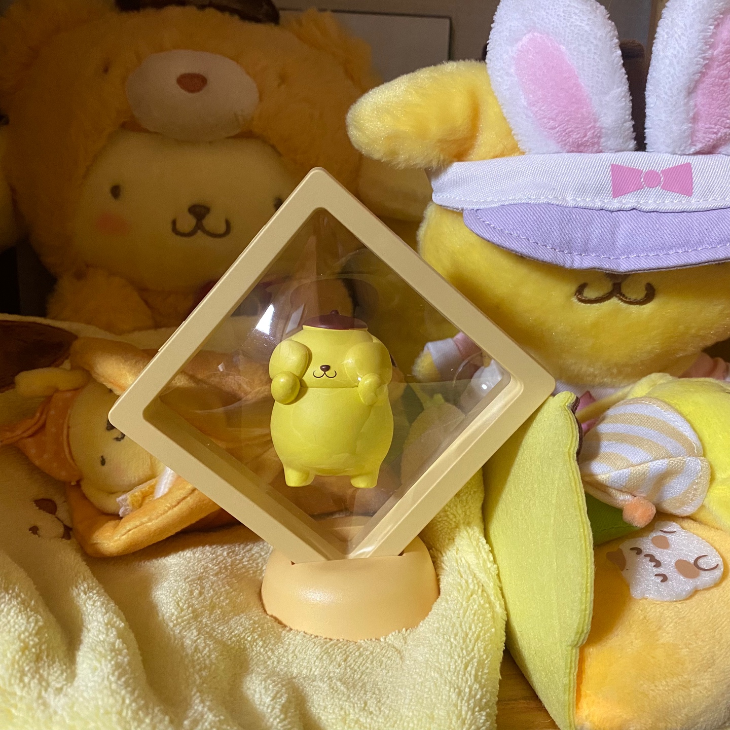 다이소에서 꿀탬발견