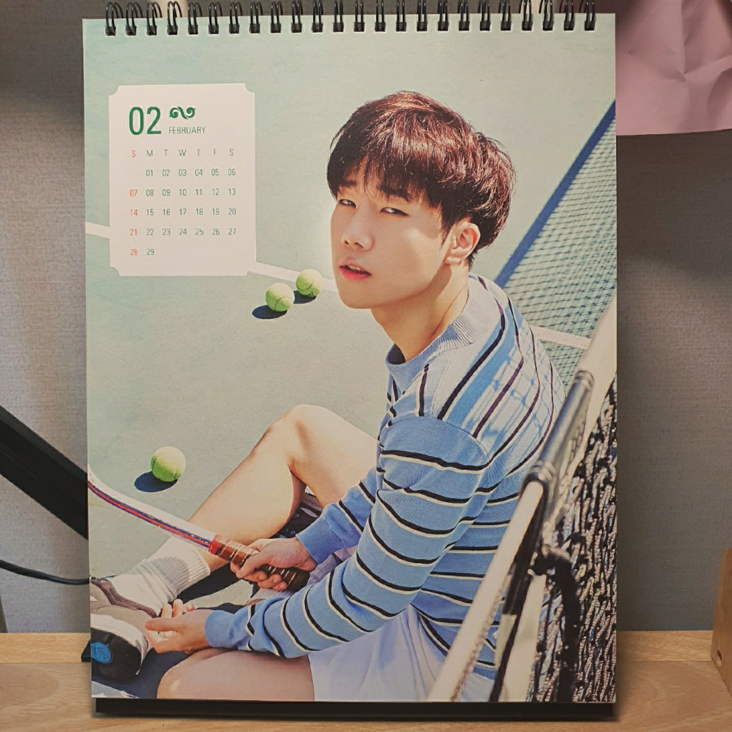INFINITE 2016 SEASON'S GREETING