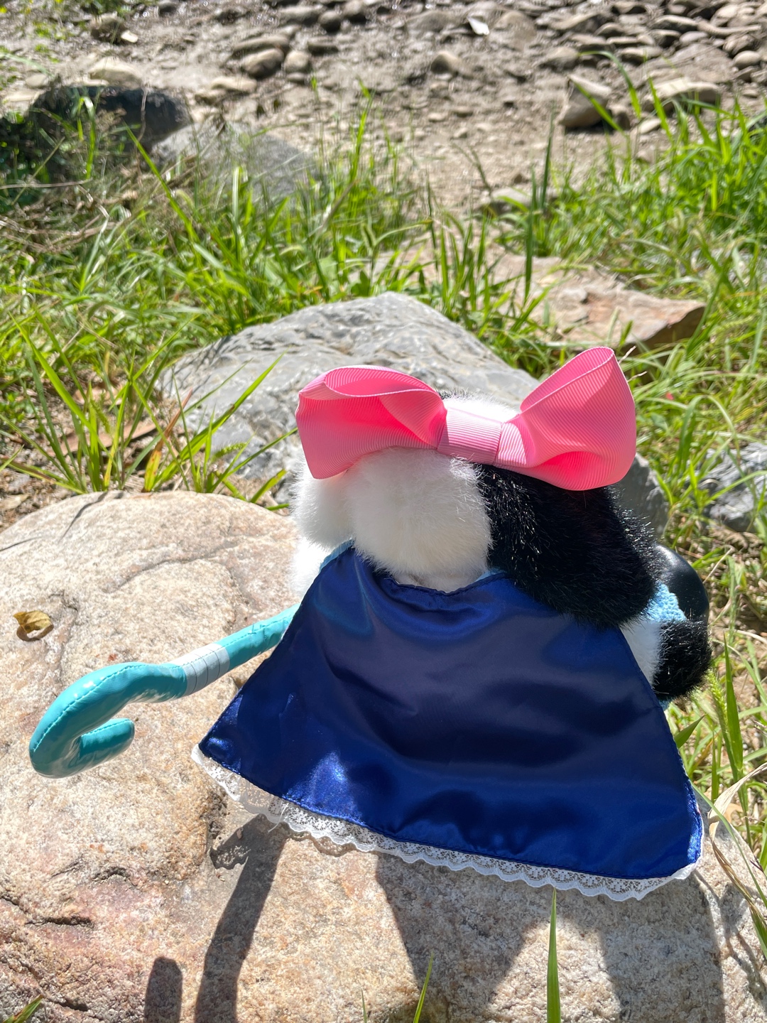 보핍일까요..?