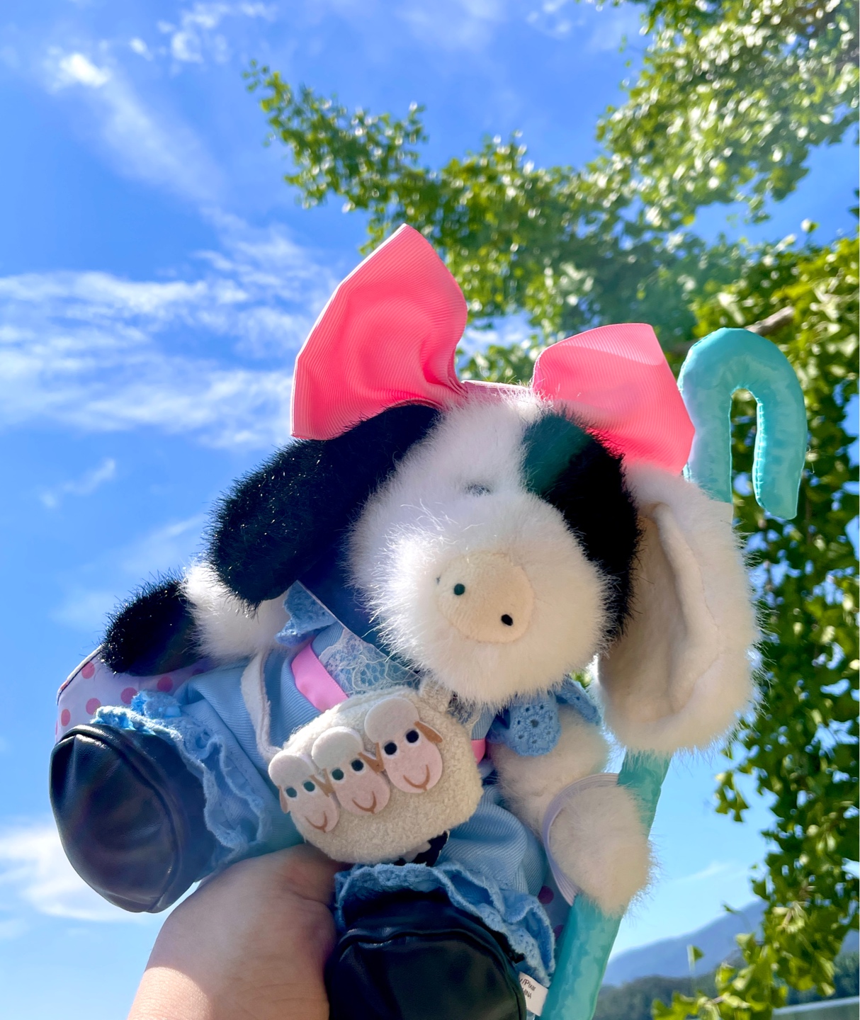 돼지보핍💙