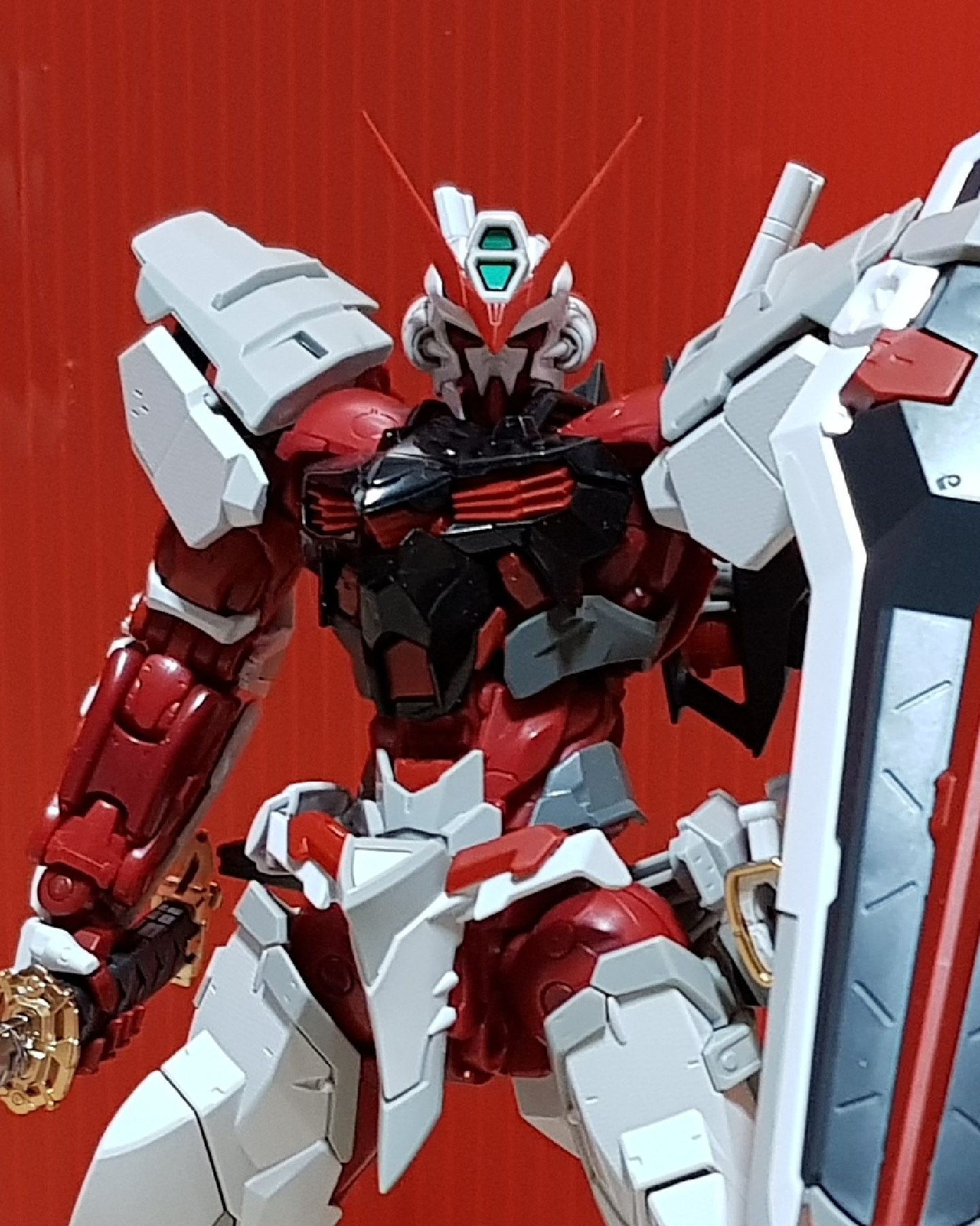 Hi-Resolution Astray Red Frame